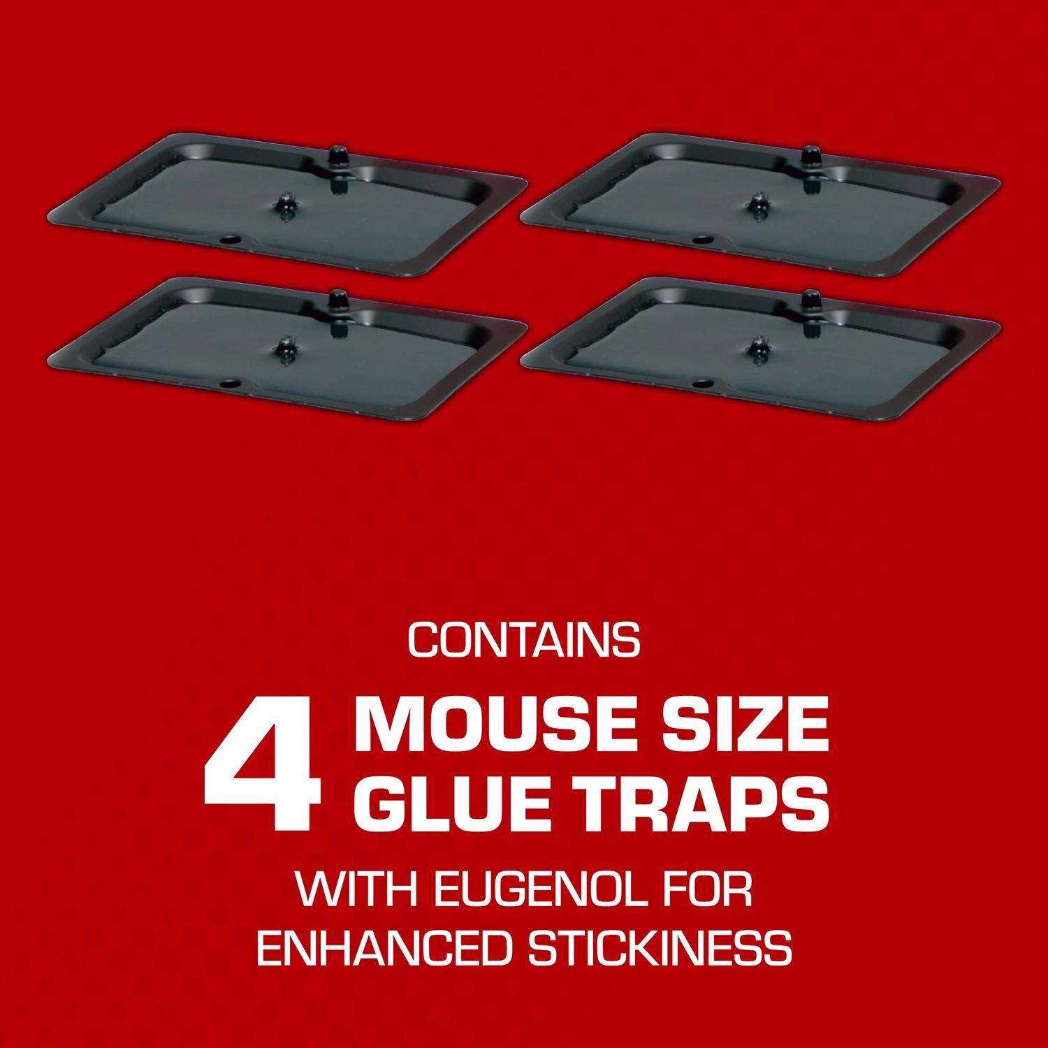 Tomcat Small Glue Trap For Mice 4 pk