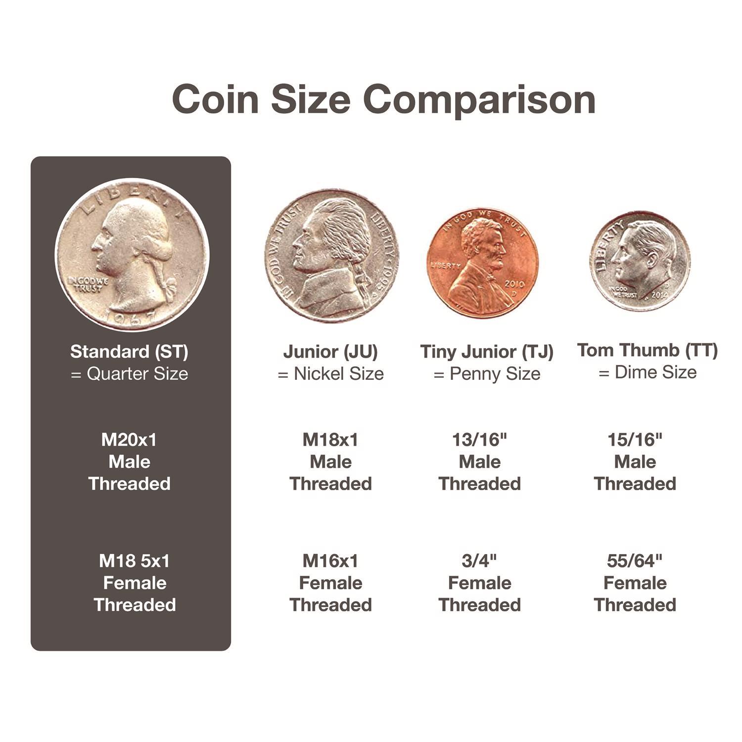 Ace Dual Thread 15/16 in.- 27M x 55/64 in.-27F Chrome Faucet Aerator