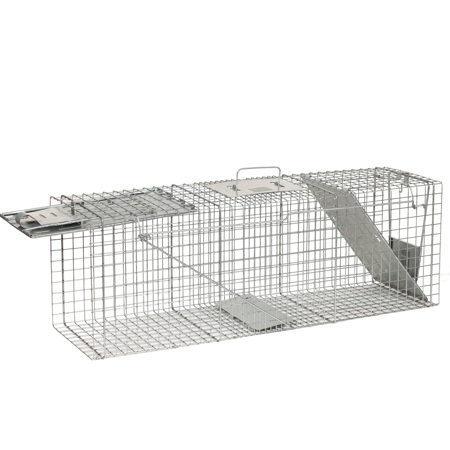 Havahart Large Live Catch Cage Trap For Raccoons 1 pk Stine Home