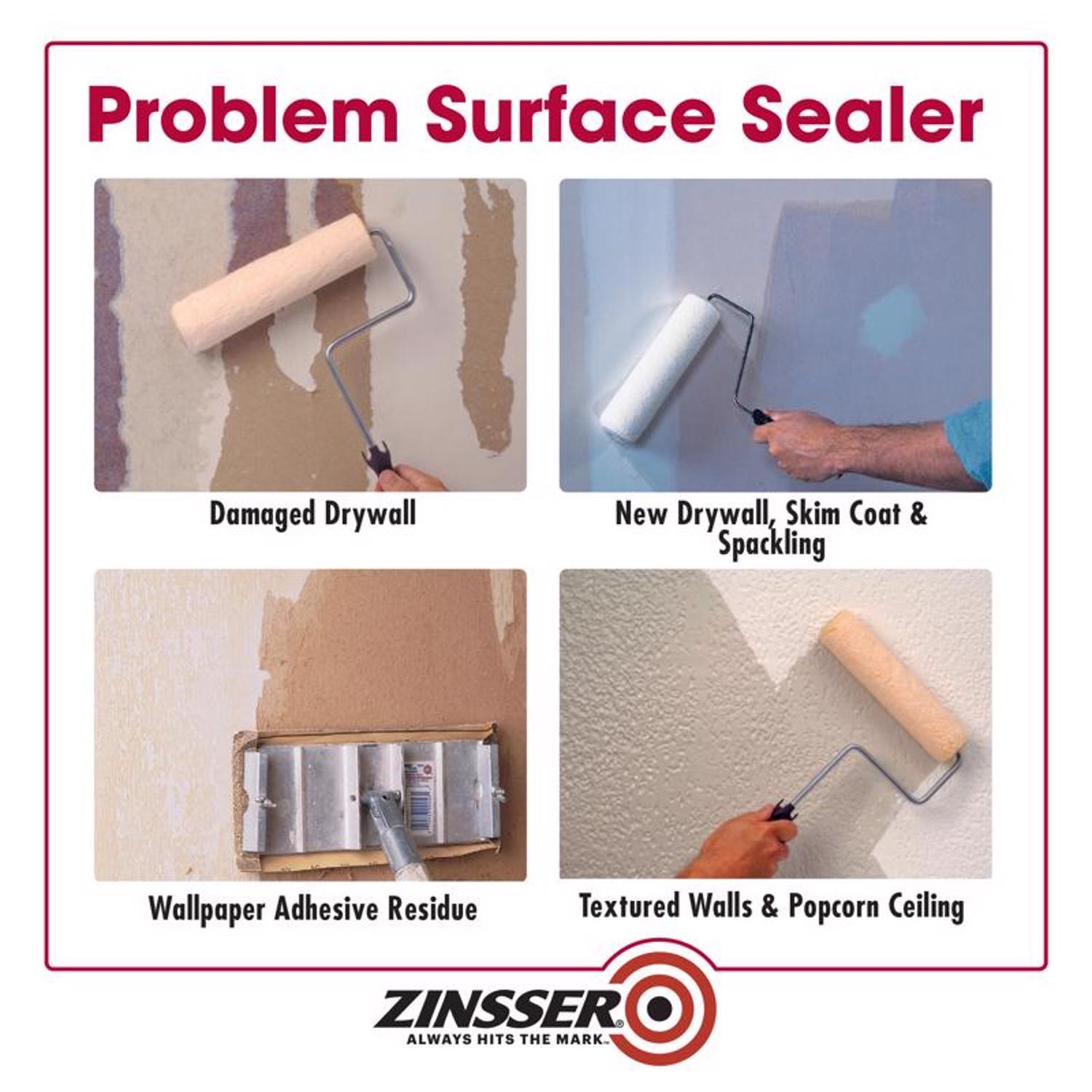 Zinsser Gardz Clear Matte Problem Surface Sealer 1 gal