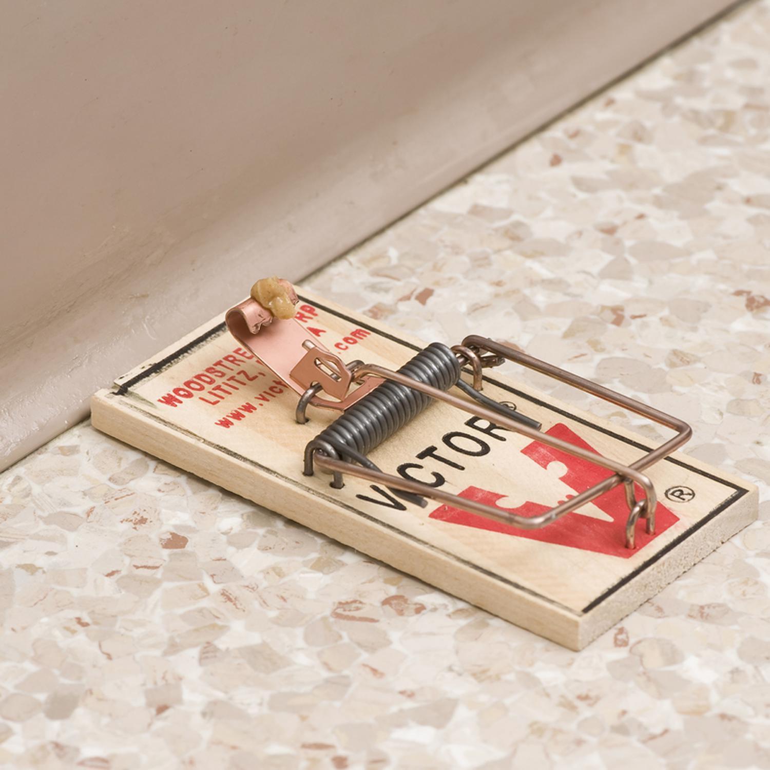 Victor Small Snap Trap For Mice 2 pk