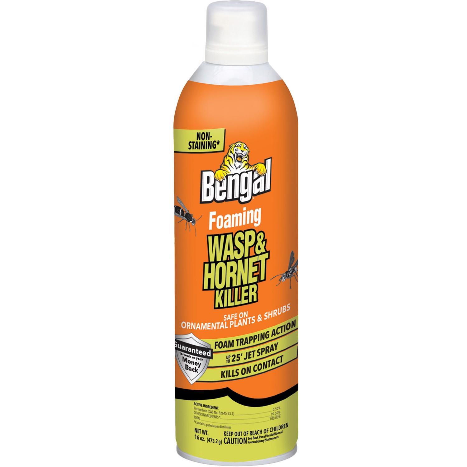 Bengal Foaming Wasp and Hornet Killer 16 oz