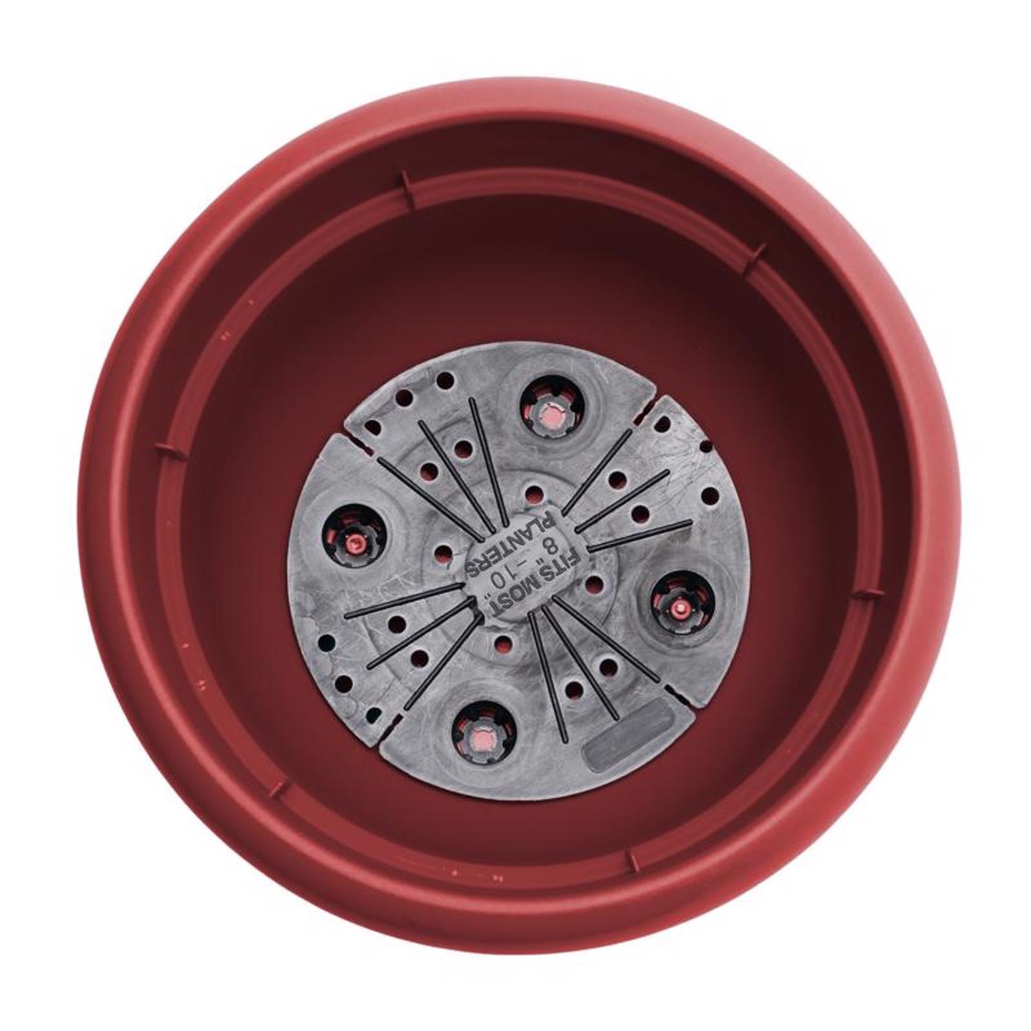 Bloem Ariana 7 in. H X 8.75 in. W X 8 in. D Plastic Traditional Planter Burnt Red