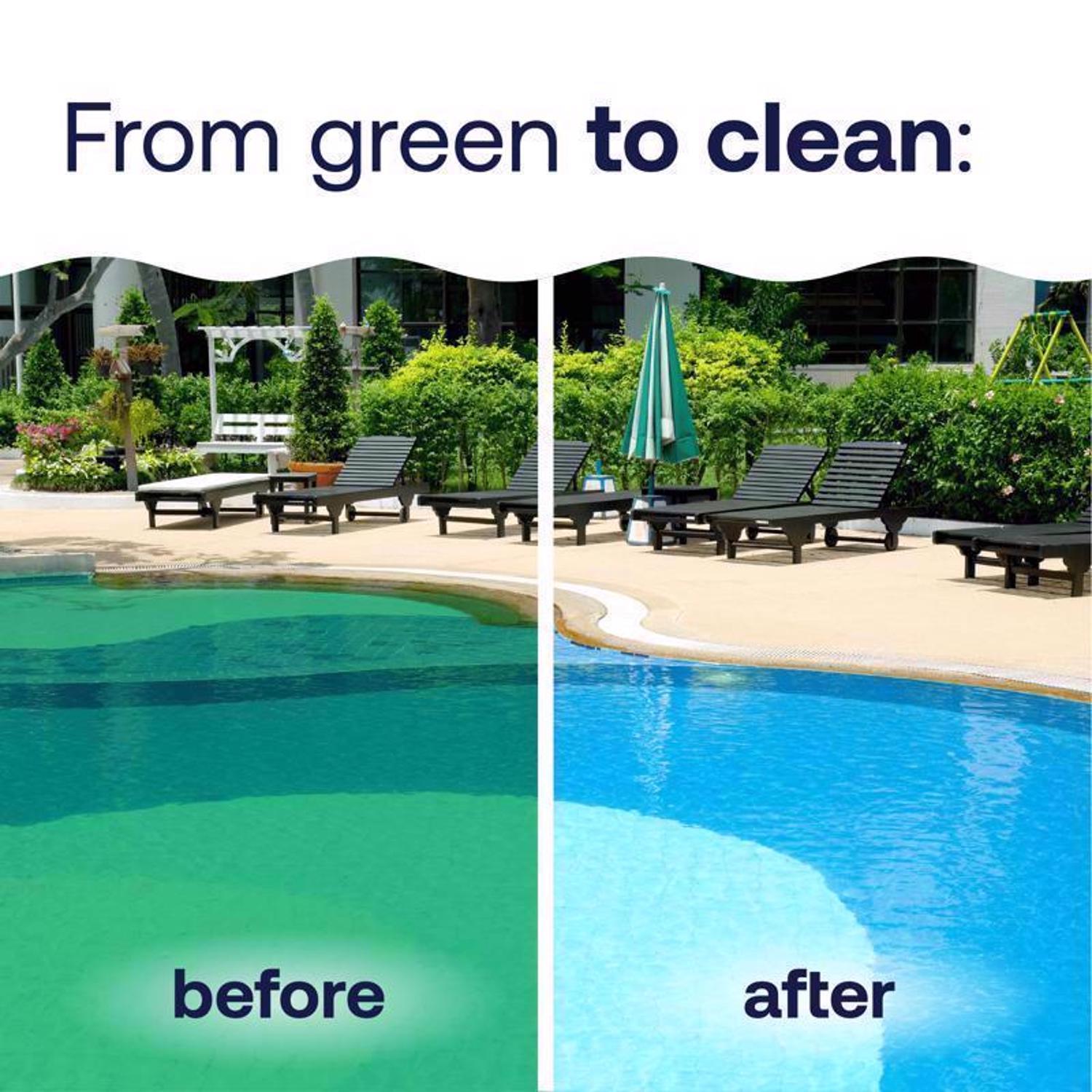 HTH Pool Care Liquid Algae Guard 1 gal