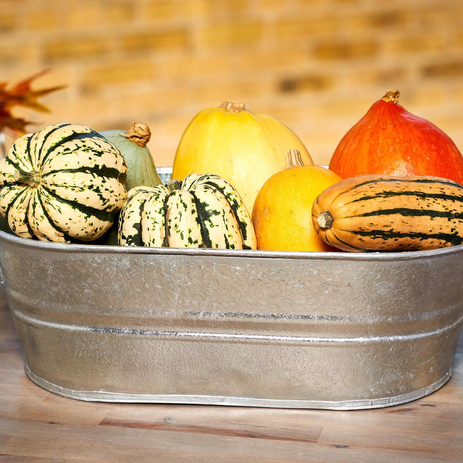 Behrens 16 gal Steel Tub Oval