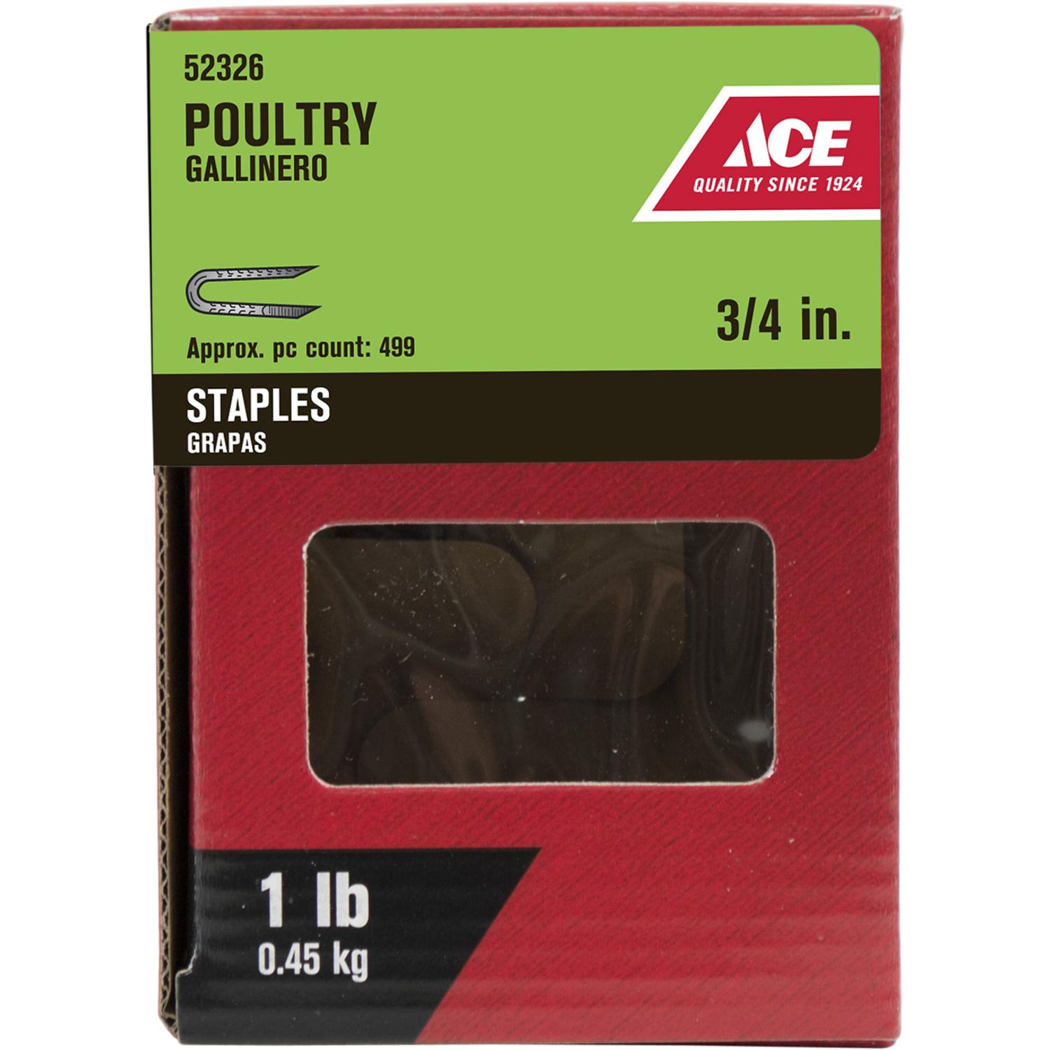 Ace.25 in. W X 3/4 in. L Galvanized Steel Poultry Staples 1 lb