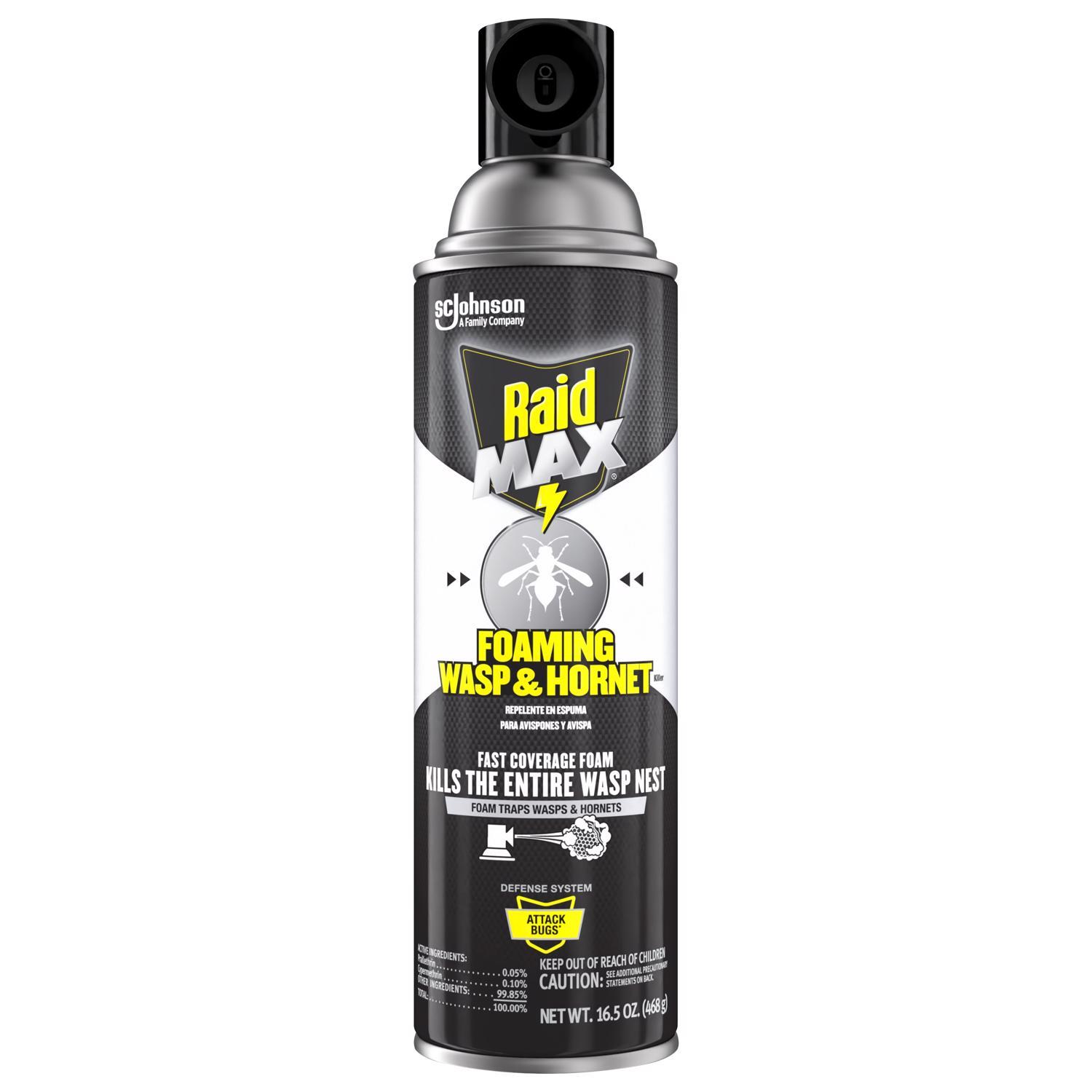 Raid Max Wasp and Hornet Killer Foam 16.5 oz