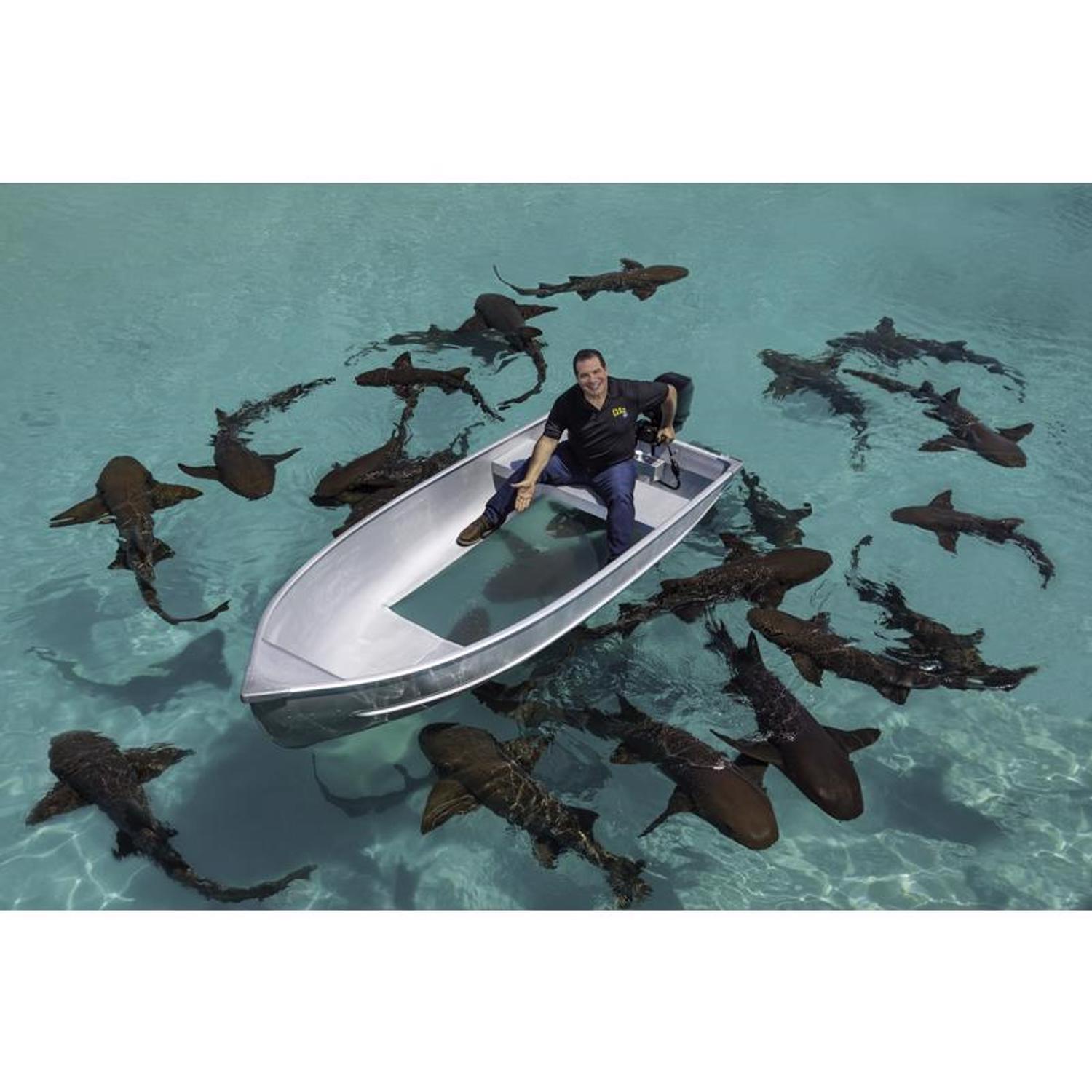 Flex Seal Family of Products Flex Tape 8 in. W X 5 ft. L Clear Waterproof Repair Tape