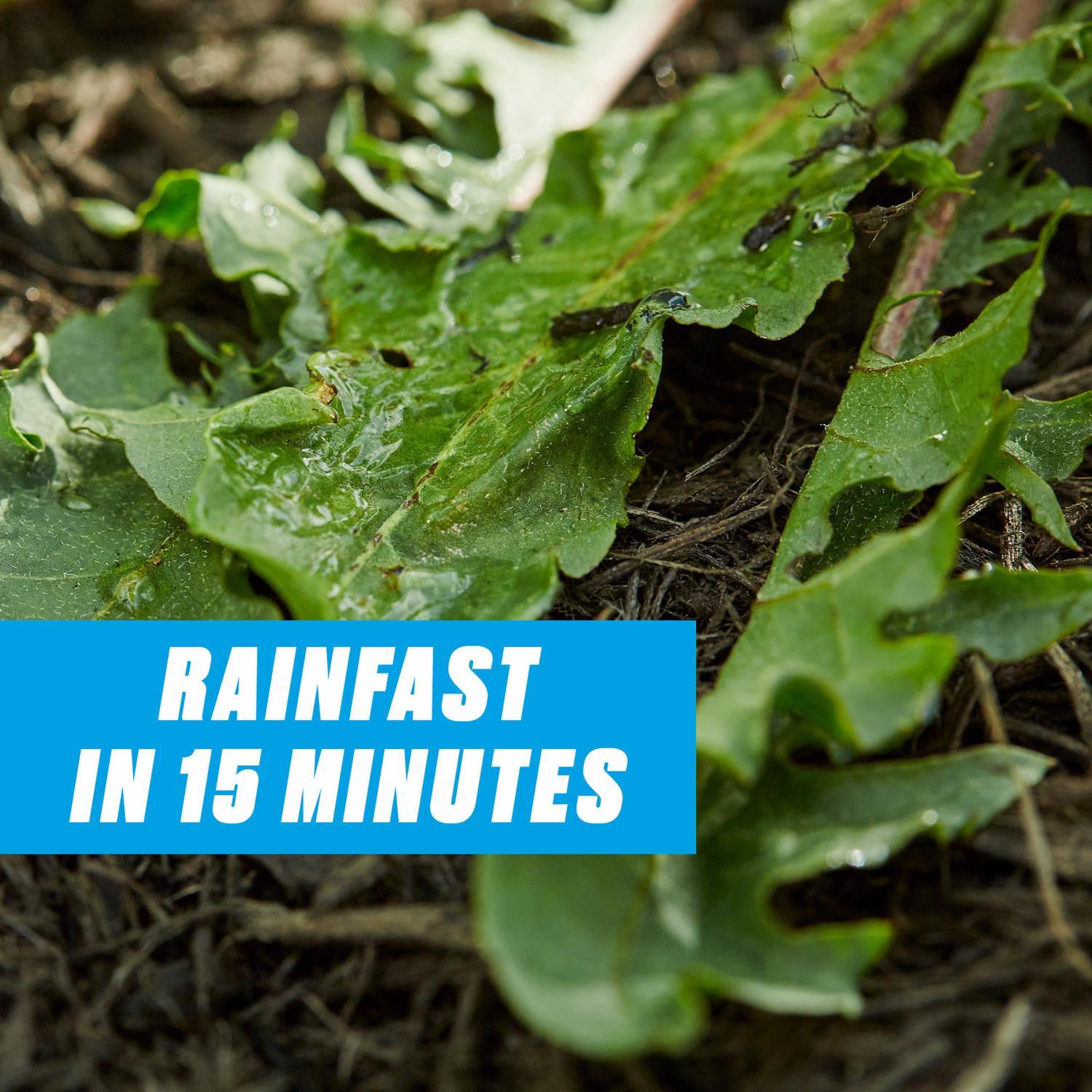 Ortho GroundClear Weed and Grass Killer RTU Liquid 24 oz