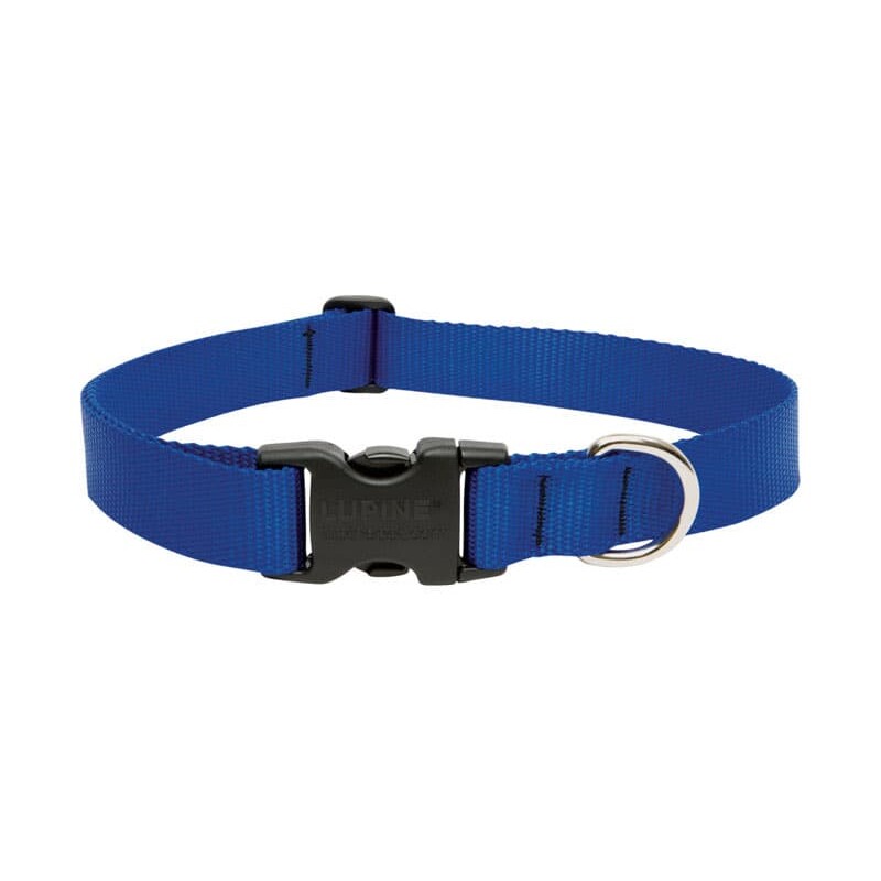 LupinePet Basic Solids Blue Blue Nylon Dog Adjustable Collar