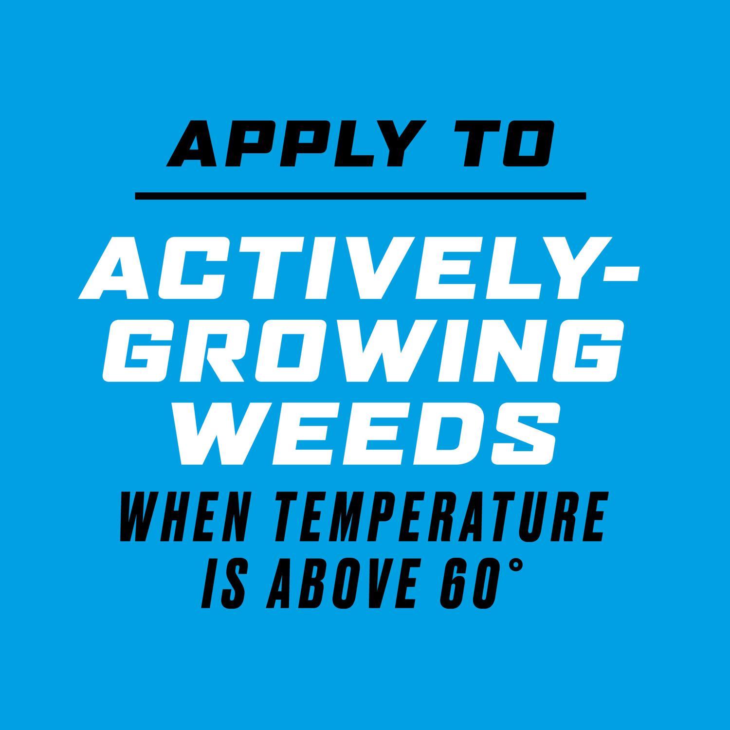 Ortho GroundClear Weed and Grass Killer RTU Liquid 24 oz