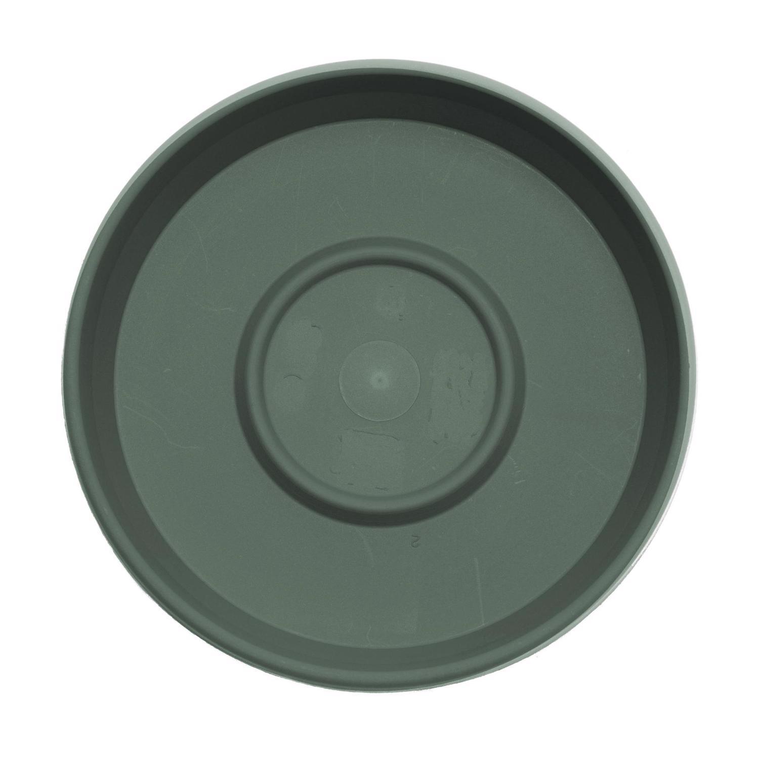Bloem Terra 1.5 in. H X 7.5 in. W X 6.5 in. D Plastic Traditional Plant Saucer Basil