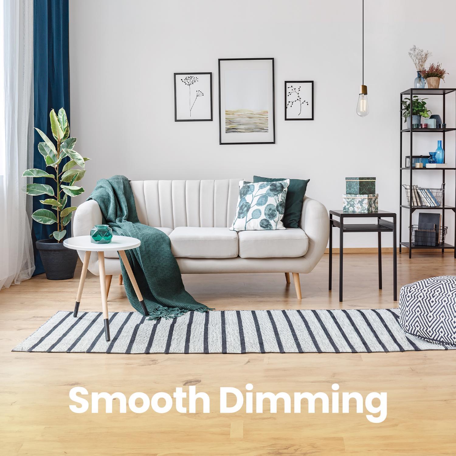 Feit ST19 E26 (Medium) Filament LED Bulb Soft White 40 Watt Equivalence 2 pk