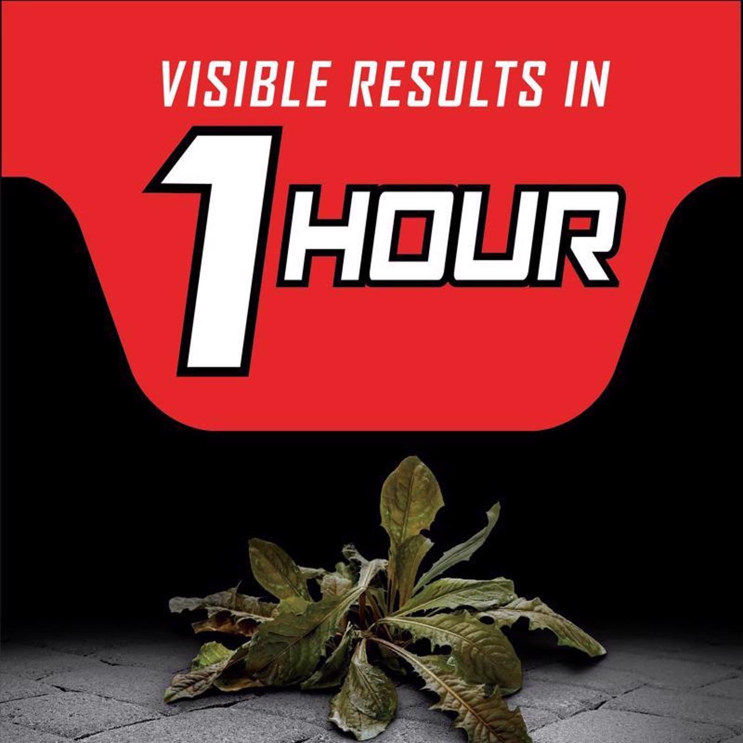 Ortho GroundClear Vegetation Killer Concentrate 1 gal