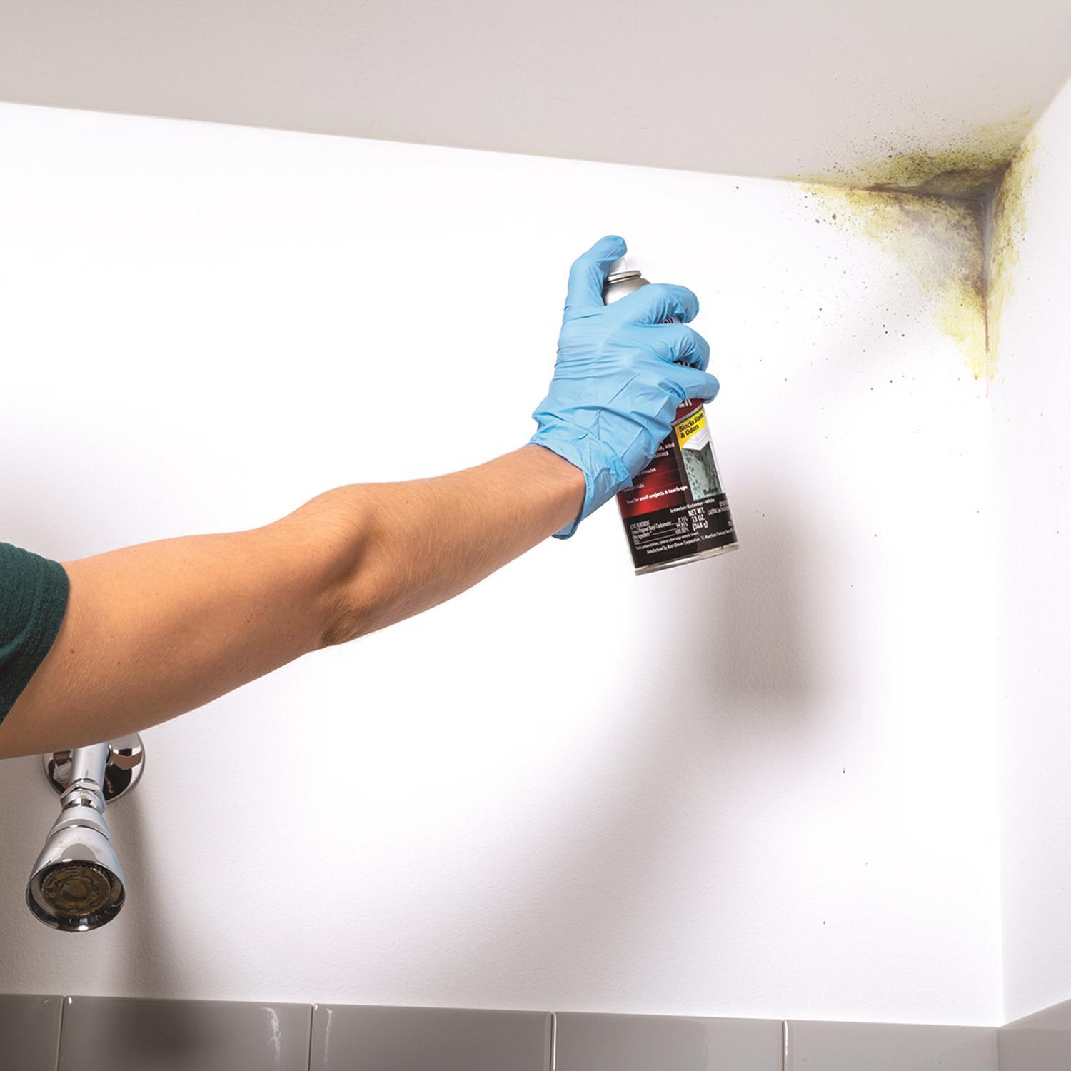 Zinsser Mold Blocking White Water-Based Alkyd Spray Primer 13 oz
