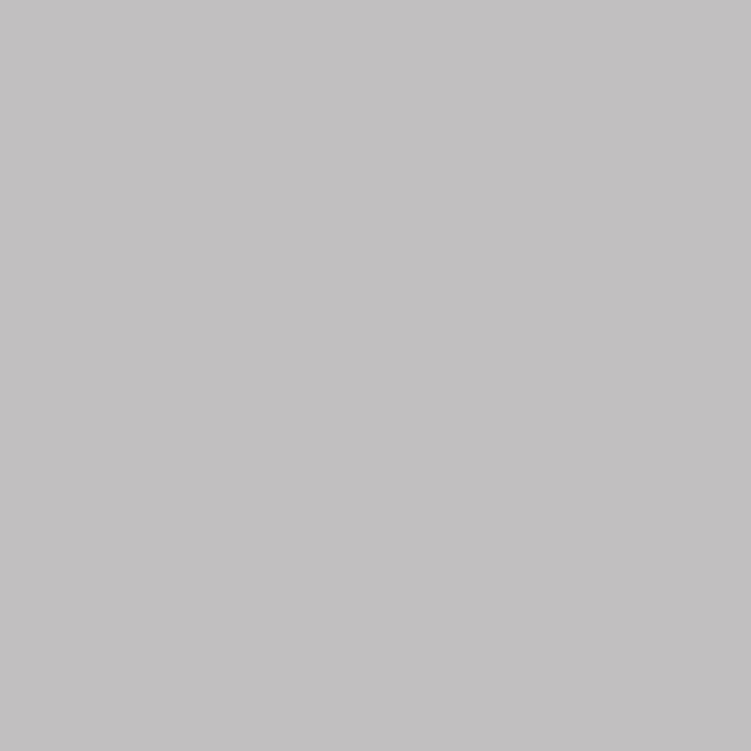 Rust-Oleum Painter's Touch 2X Ultra Cover Ultra Matte Perfect Gray Paint+Primer Spray Paint 12 oz