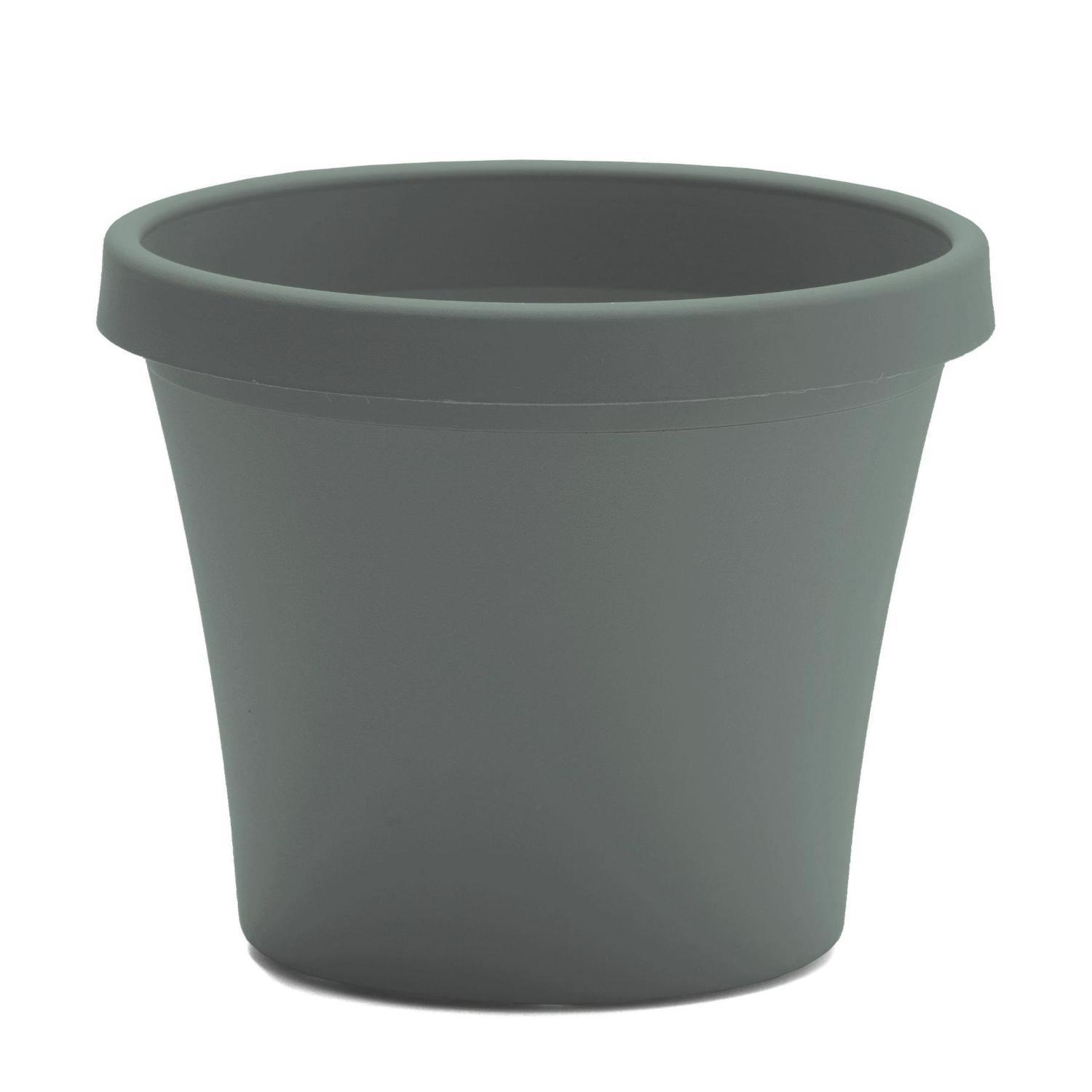 Bloem Terra 8.5 in. H X 10.75 in. W X 7.5 in. D Plastic Traditional Planter Basil