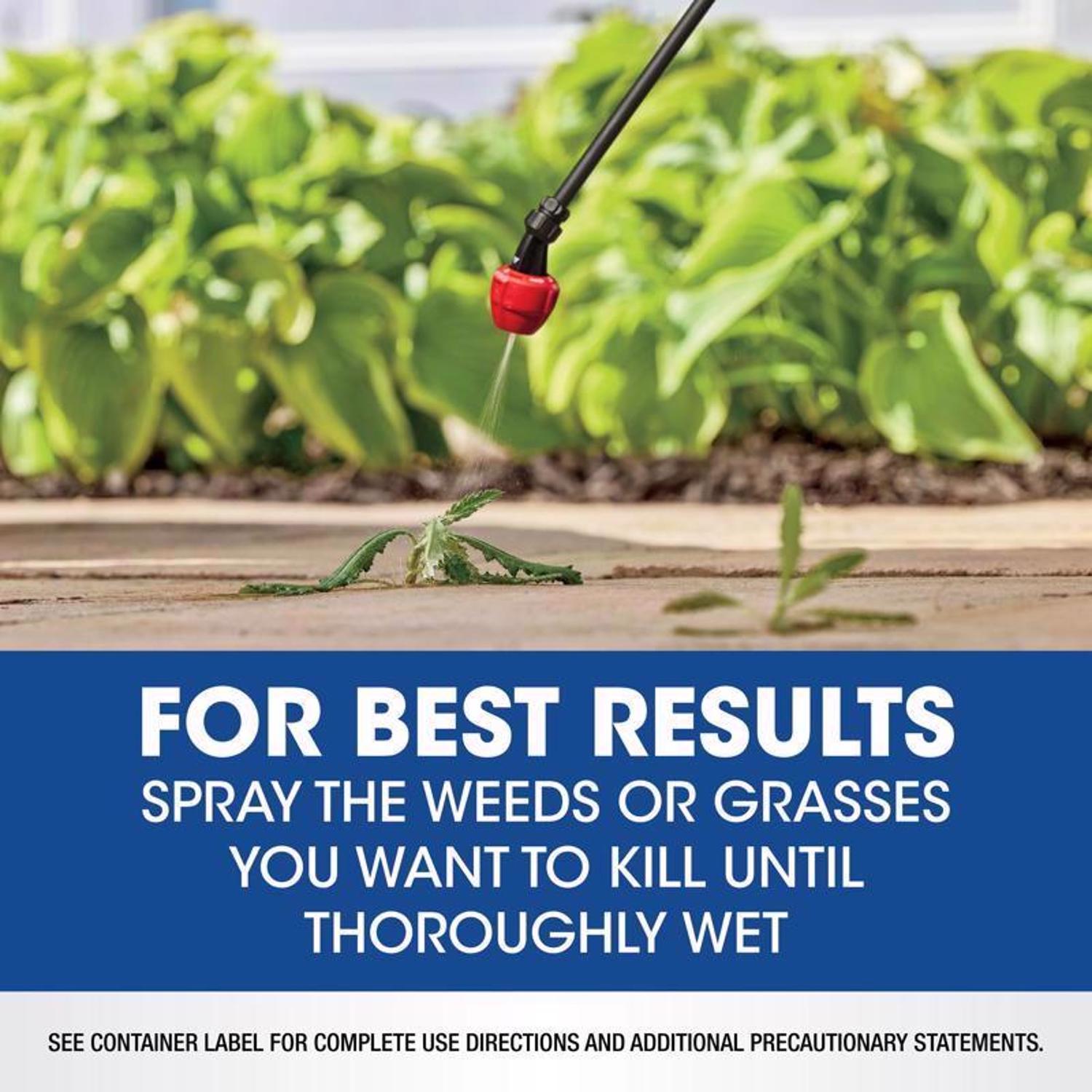 Roundup Weed and Grass Killer Concentrate 16 oz