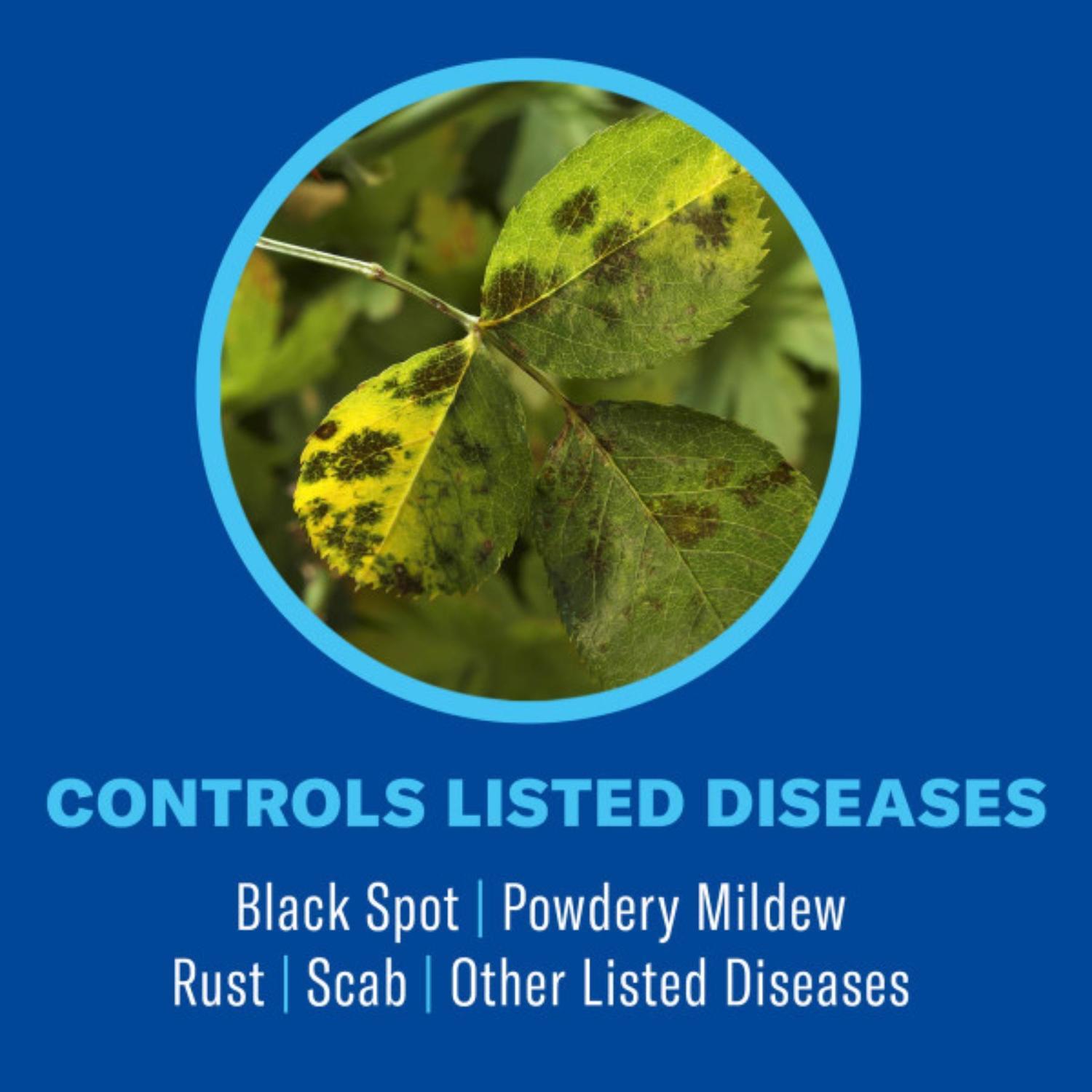 BioAdvanced All-in-One, Ready-to-Use Rose and Flower Care Spray 24 oz