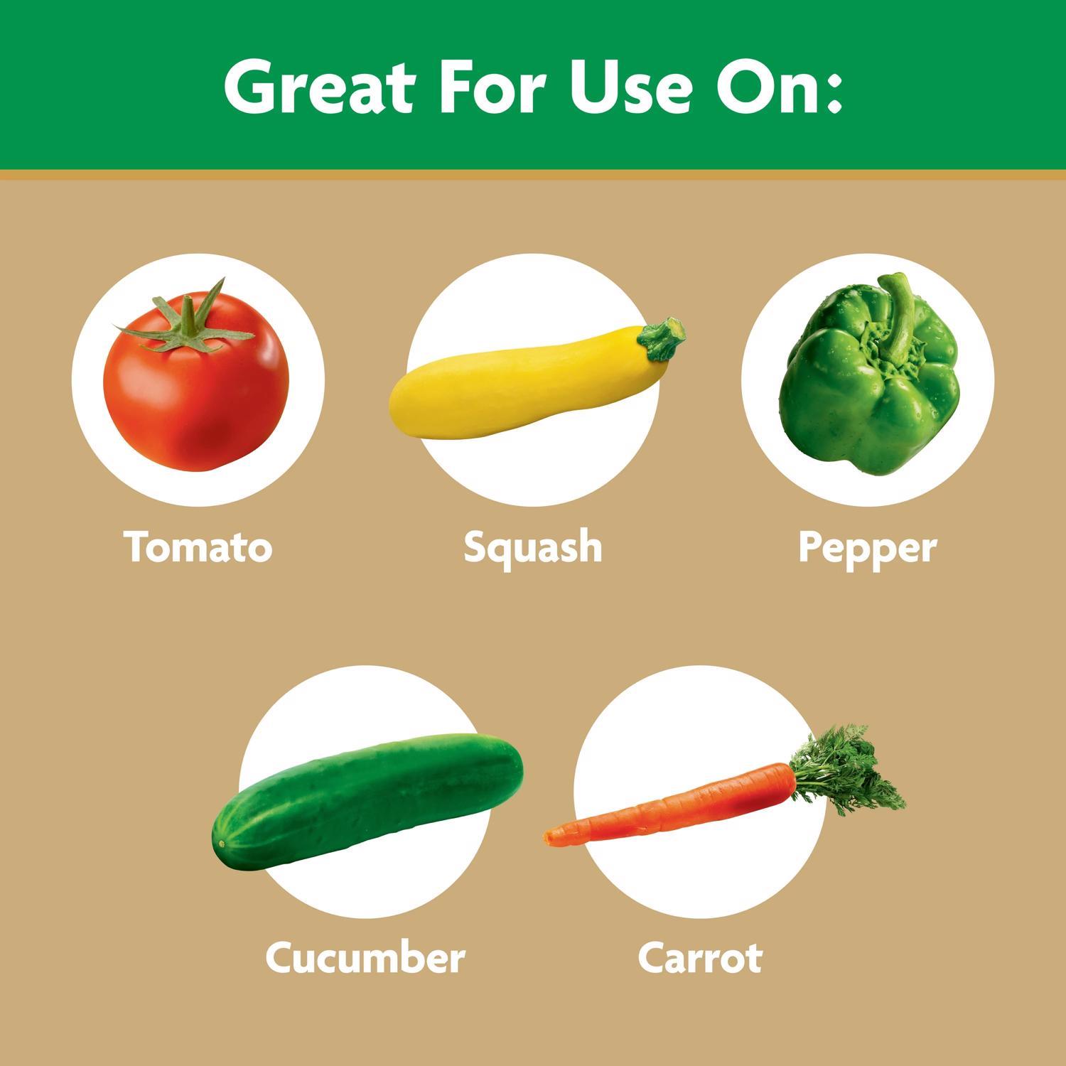 Miracle-Gro Granules Tomato Plant Food 1.5 lb