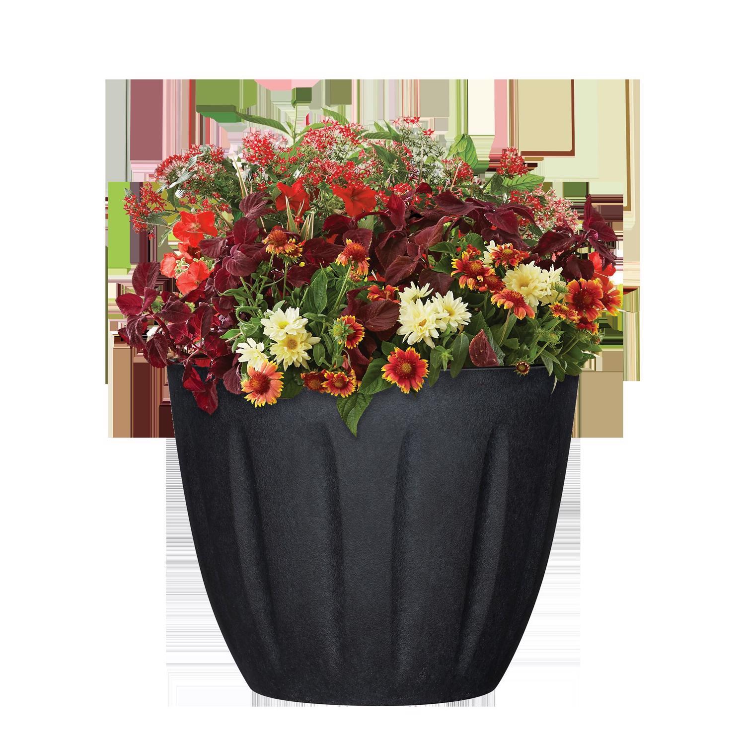 L&G 9.6 in. H X 12 in. W X 12 in. D X 12 in. D Polyresin Spritzer Planter Black