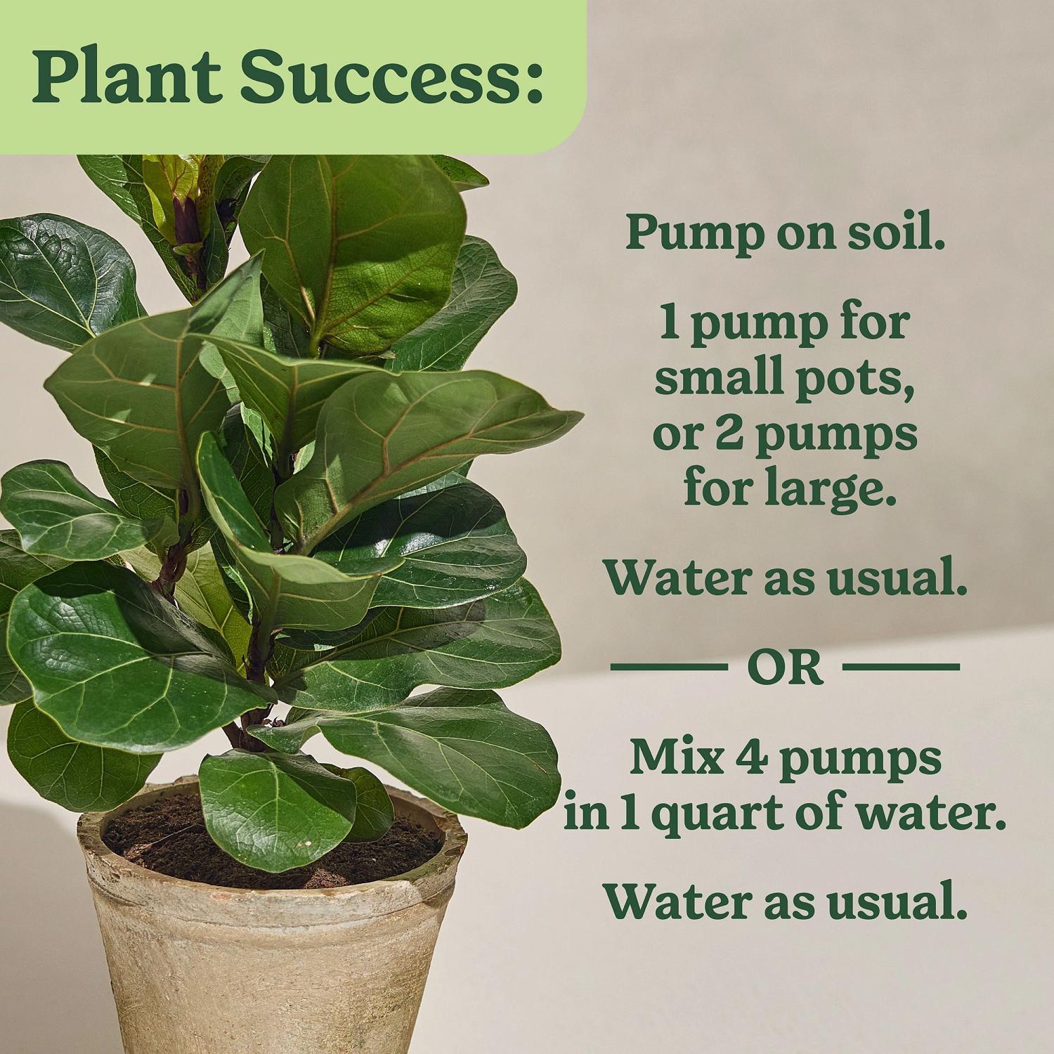 Miracle-Gro Tropical Liquid Plant Food 8 oz