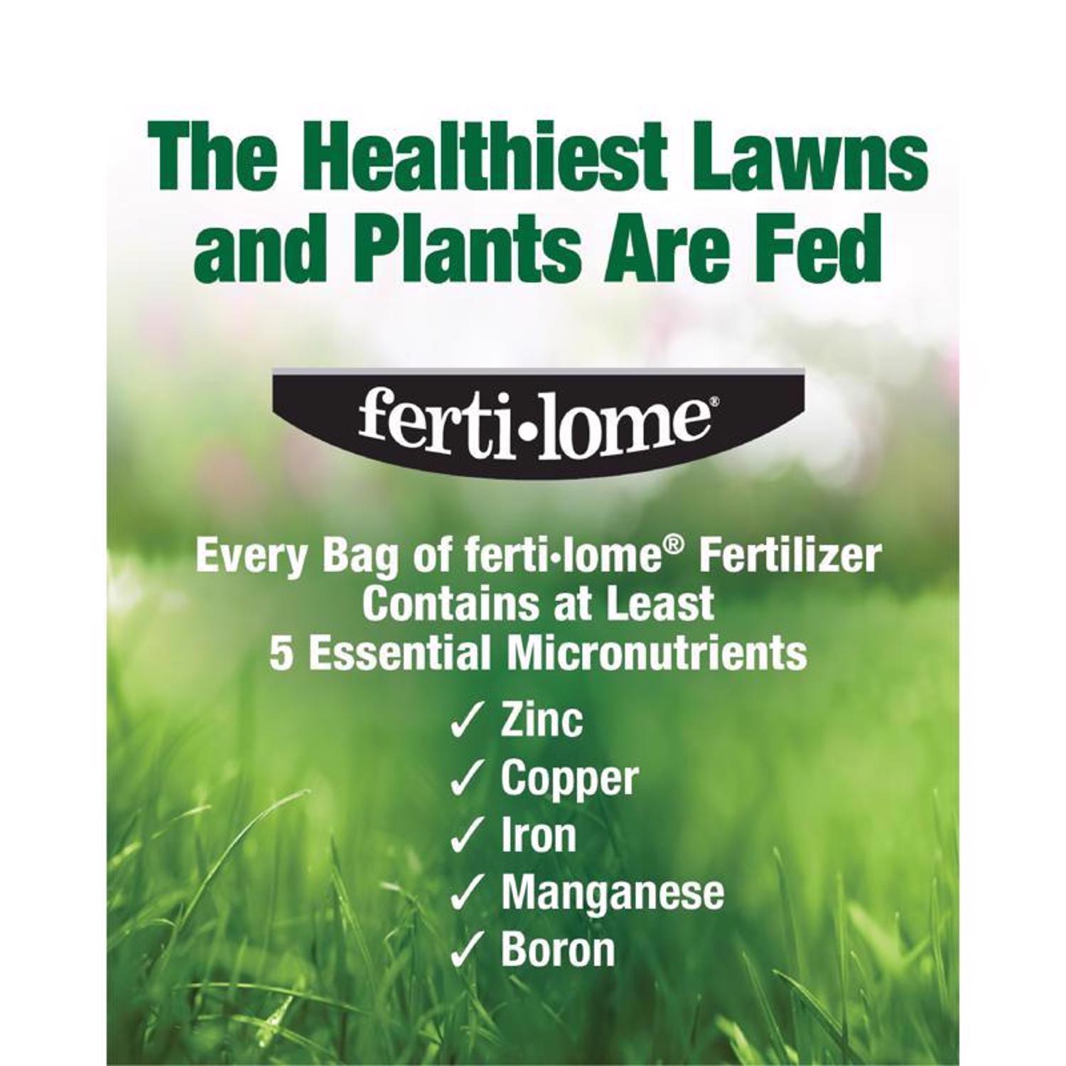 Ferti-lome Granules Plant Food 3.25 lb