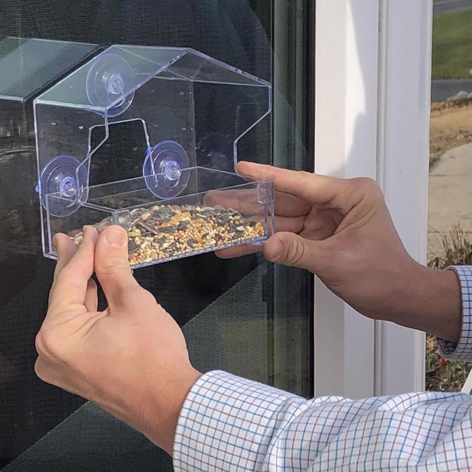 PerkyPet Wild Bird 0.5 lb Plastic Window Bird Feeder 1 ports Stine