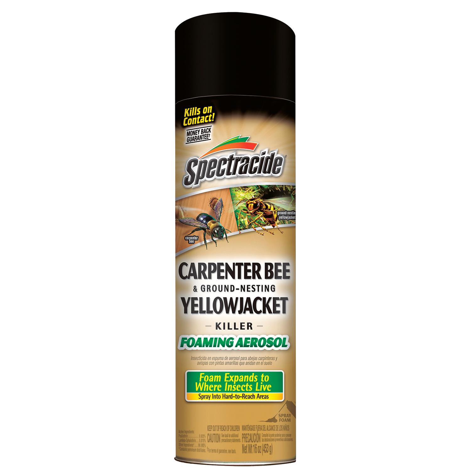 Spectracide Insect Killer Foam 16 oz