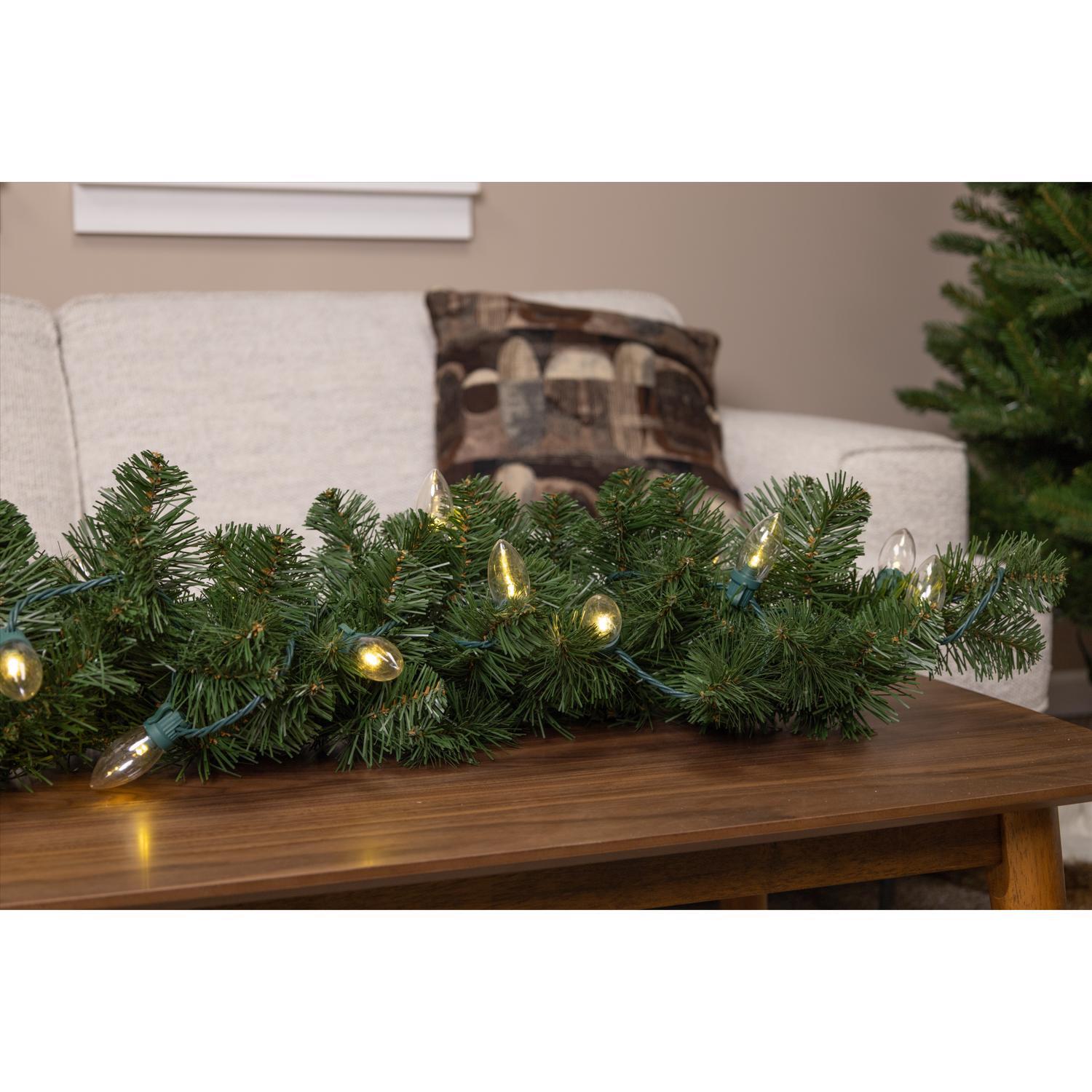 Celebrations Classic LED C9 Warm White 25 ct String Christmas Lights 16 ft.