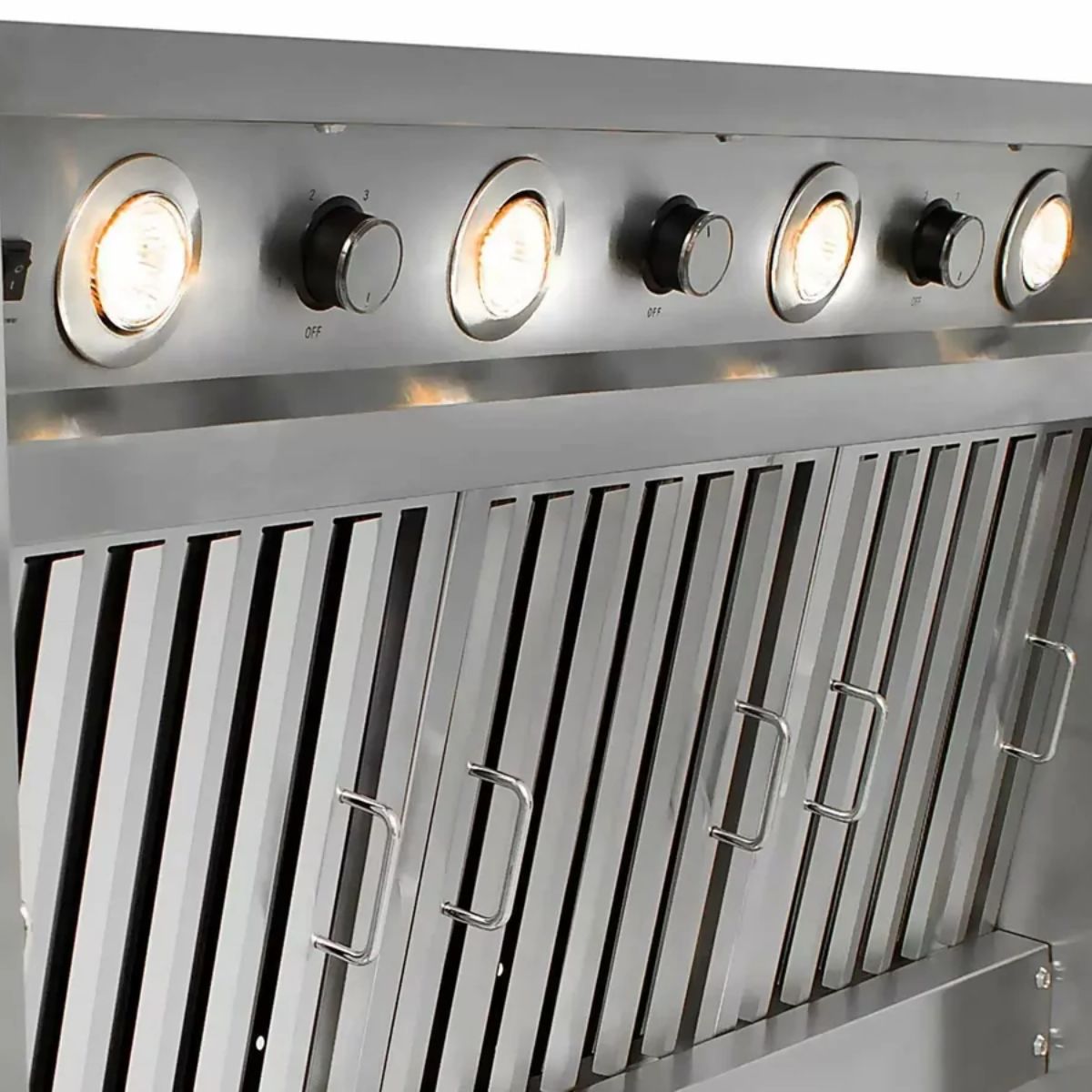 Blaze 48 in. Vent Hood in Stainless Steel