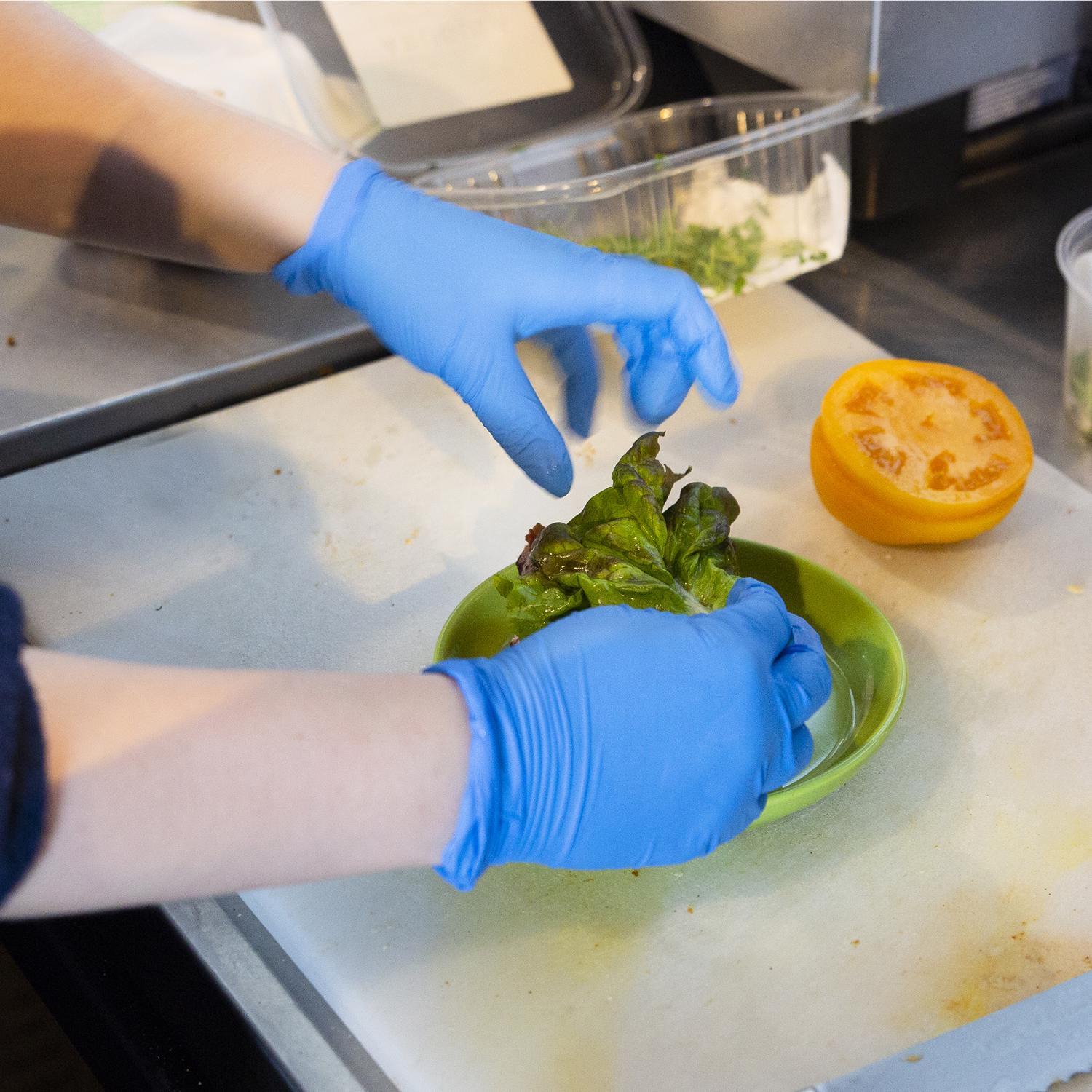 X3 Nitrile Disposable Gloves Large Blue Powder Free 100 pk