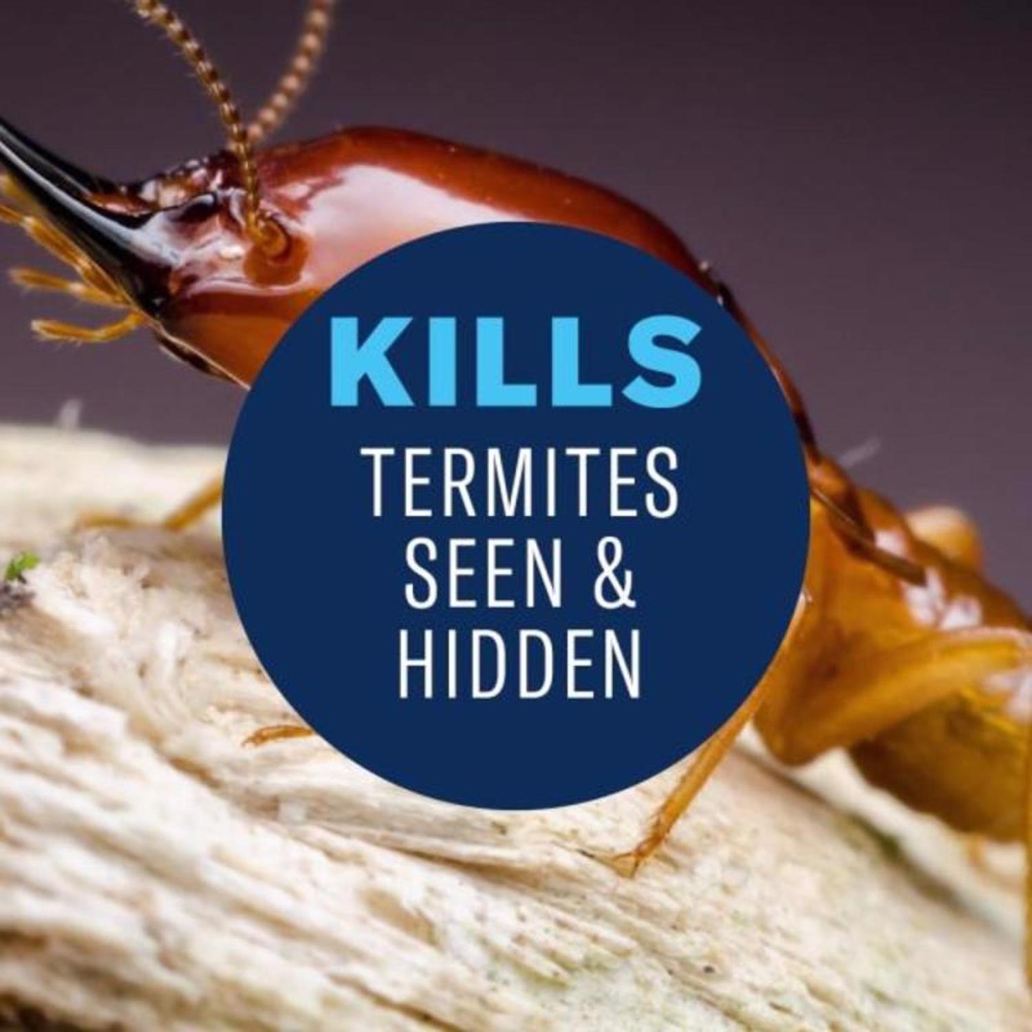 BioAdvanced Termite Killer Foam 18 oz