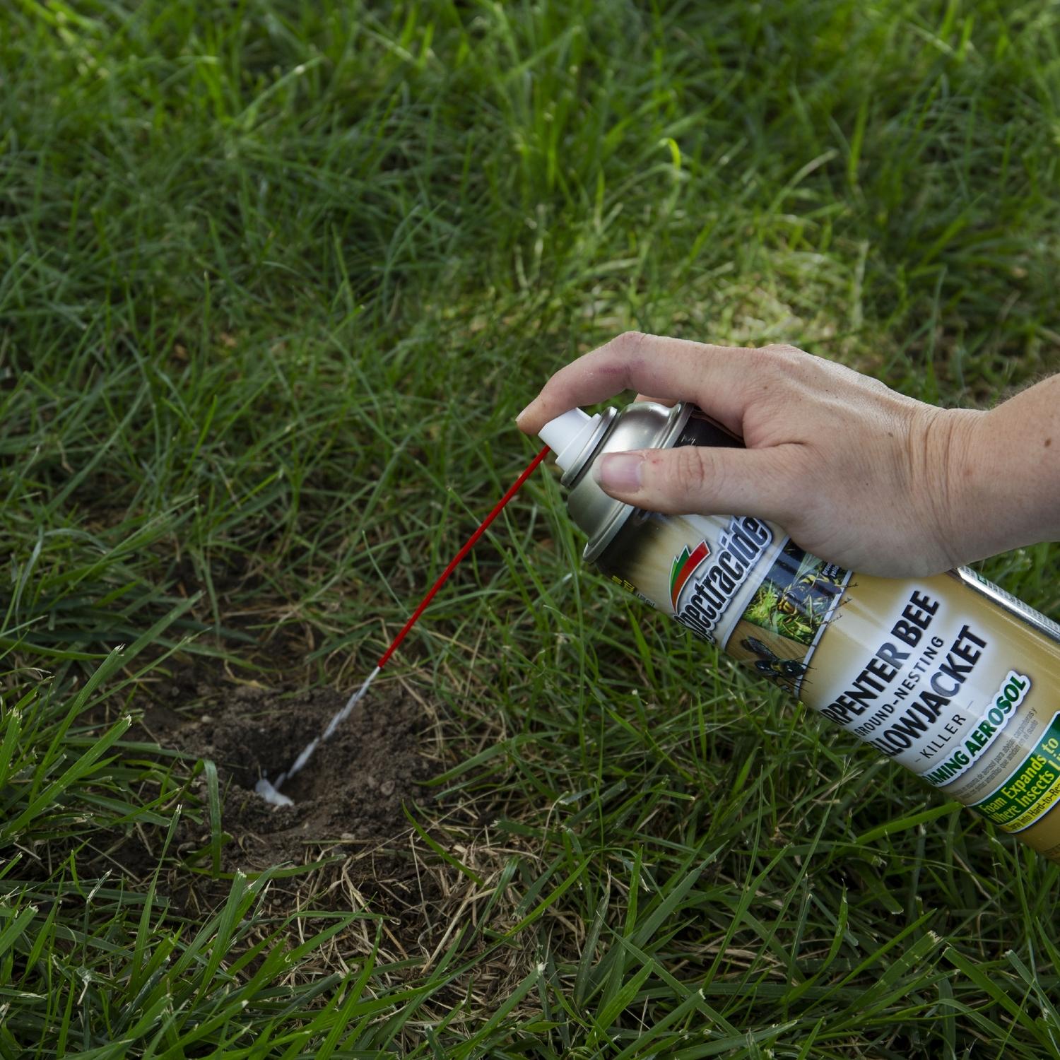 Spectracide Insect Killer Foam 16 oz