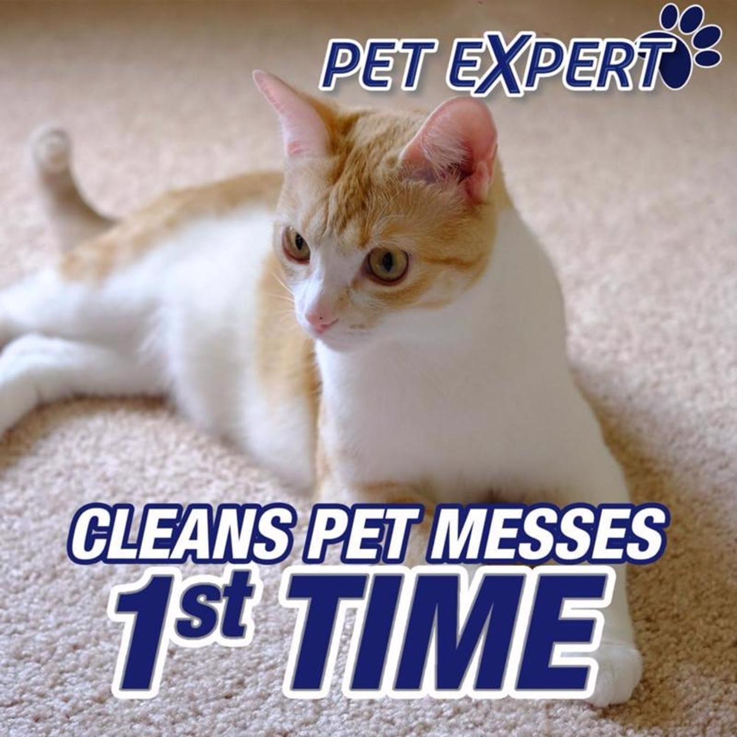 Resolve Pet Oxi Advanced No Scent Carpet Cleaner 22 oz Liquid