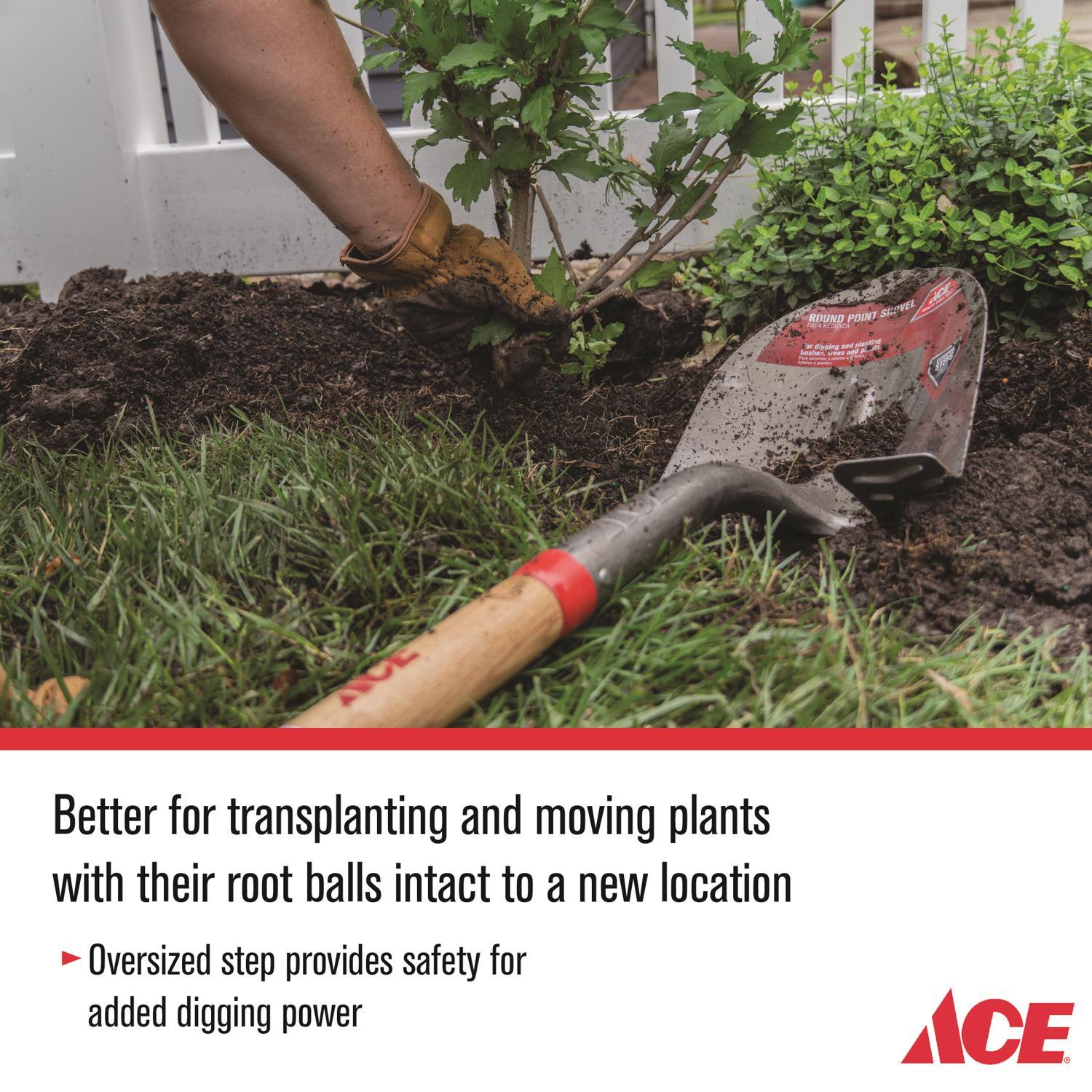 Ace 41.5 in. Steel Round Digging Shovel Wood Handle