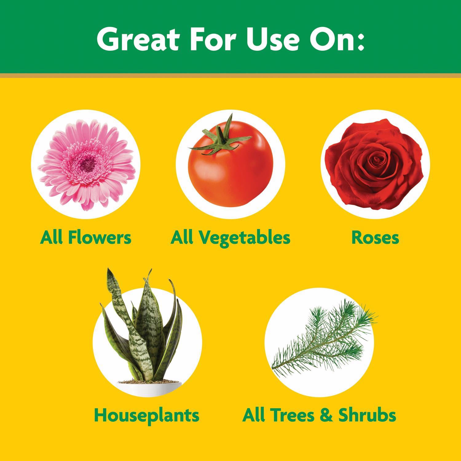 Miracle-Gro Granules Tomato, Tulips, Strawberries Plant Food 8 oz