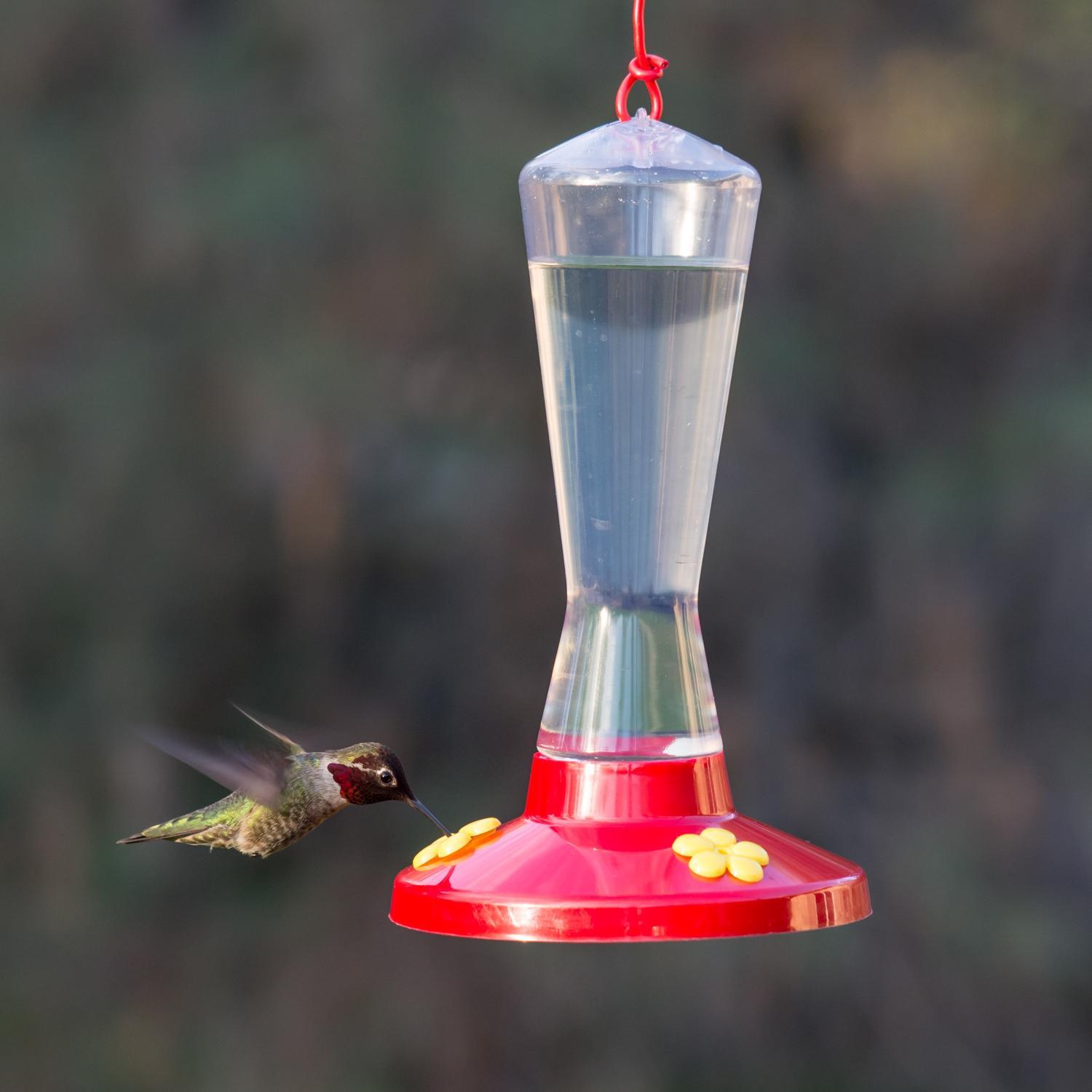Perky-Pet Hummingbird 8 oz Plastic Nectar Bird Feeder 3 ports