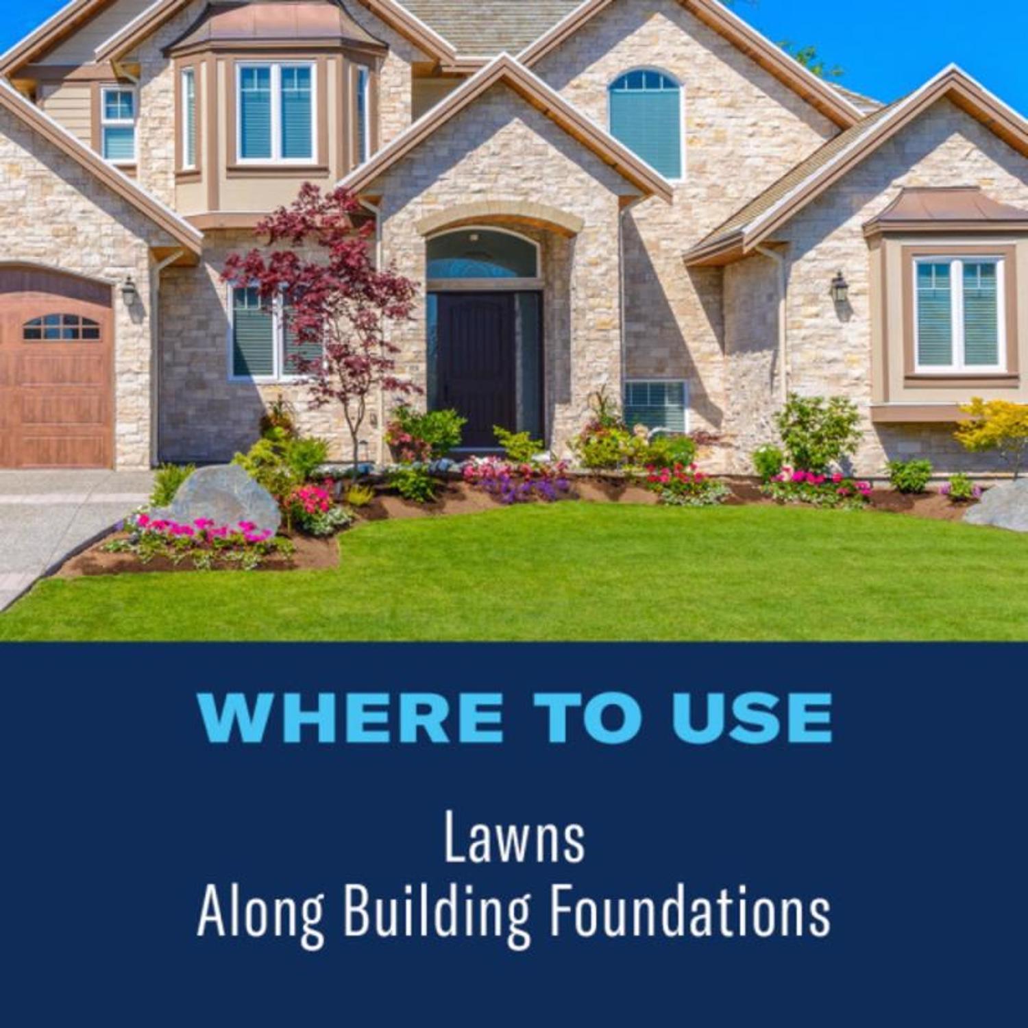 BioAdvanced Complete Insect Killer for Soil & Turf Concentrate 40 oz