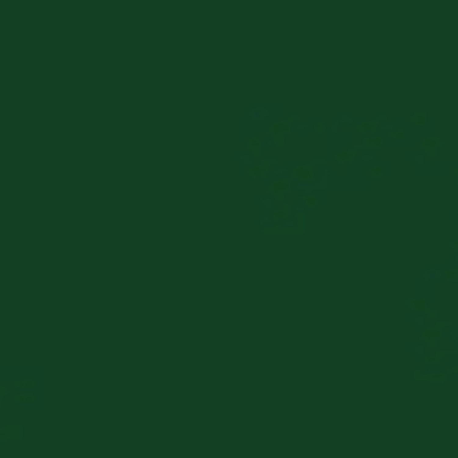 Rust-Oleum Professional Gloss Hunter Green Spray Paint 15 oz