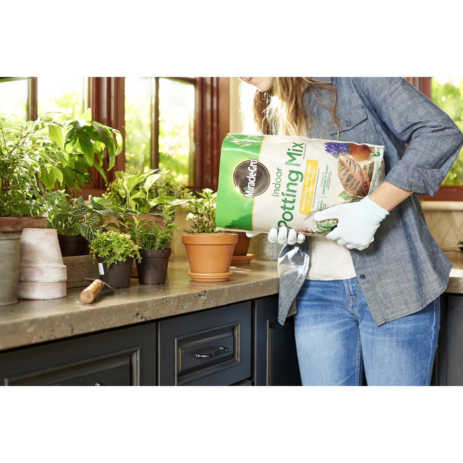 Miracle-Gro Indoor Plant Potting Soil 6 qt
