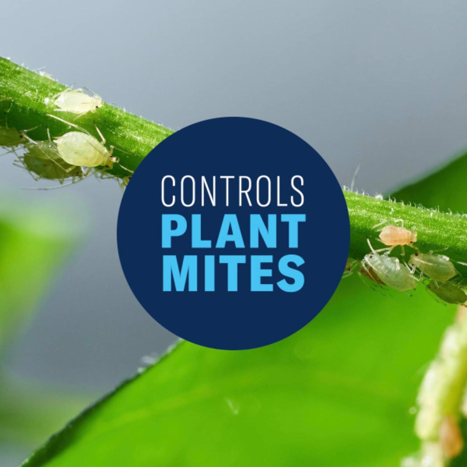 BioAdvanced All-in-One, Ready-to-Use Rose and Flower Care Spray 24 oz