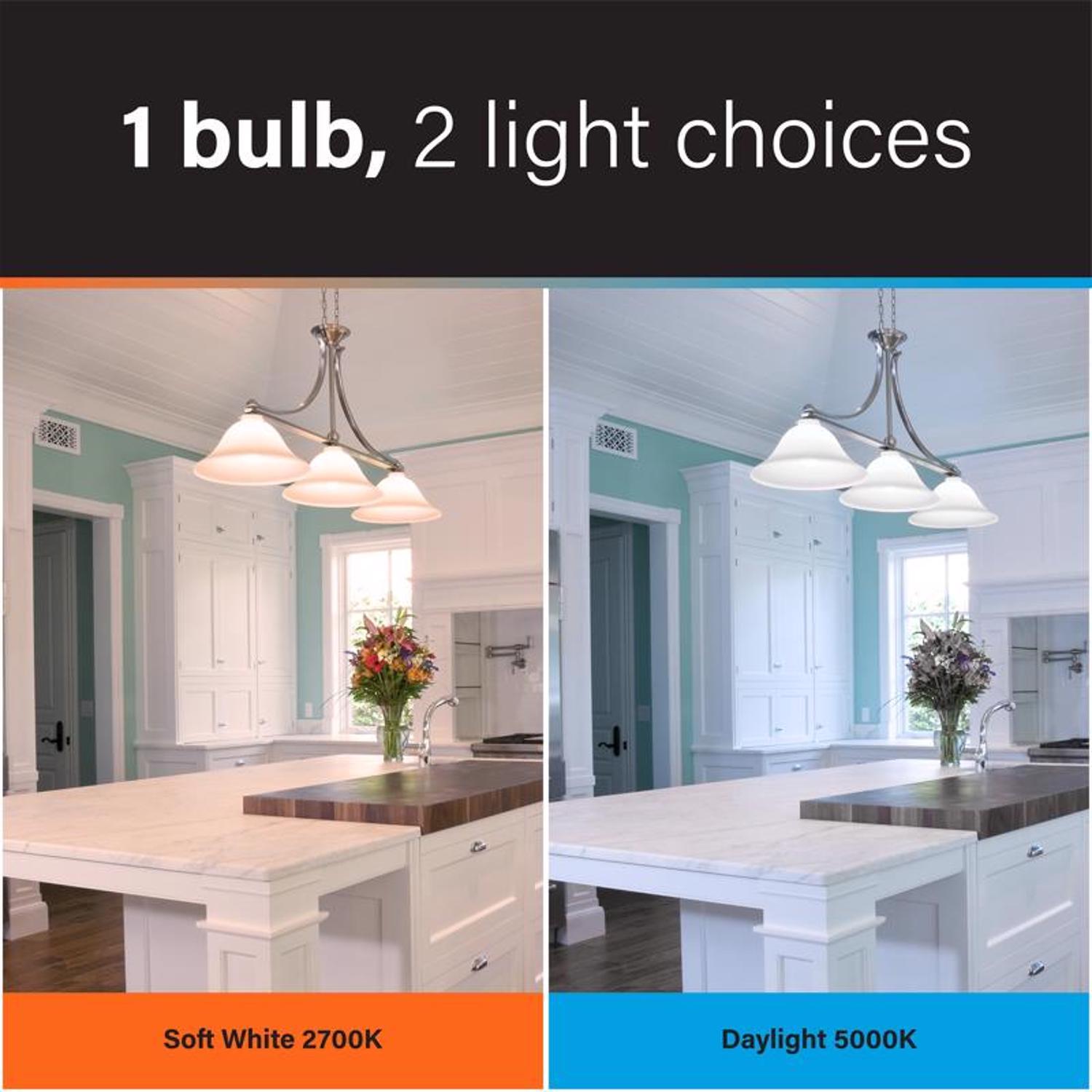 Feit A19 E26 (Medium) LED Bulb Color Changing 60 Watt Equivalence 1 pk