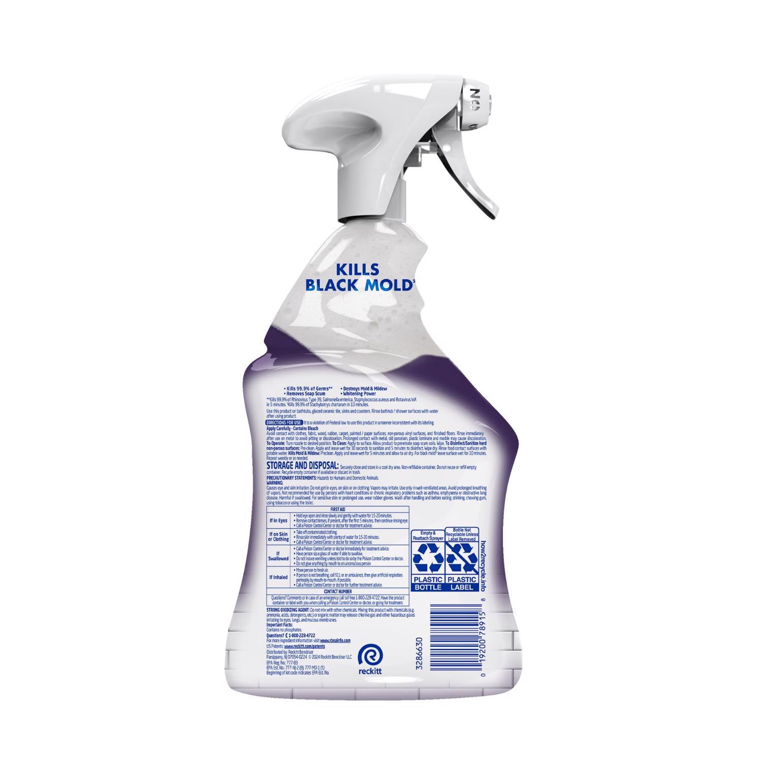 Lysol Mold and Mildew Stain Remover 32 oz