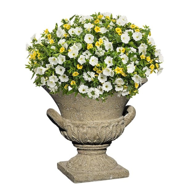 Classic Home & Garden Venetian 14 in. Natural LavaStone Urn Planter