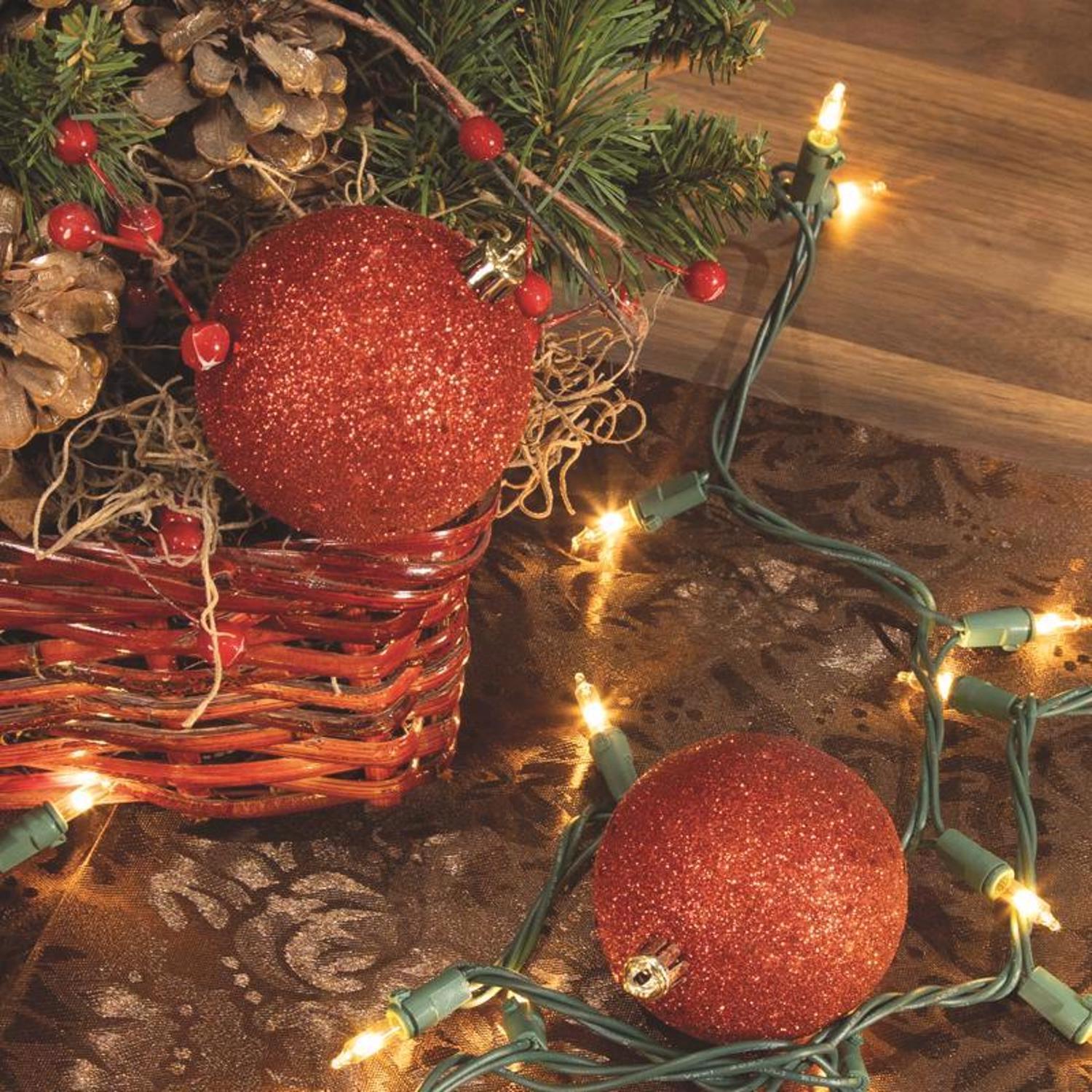 Celebrations Classic LED T5 Warm White 100 ct String Christmas Lights 24.75 ft.