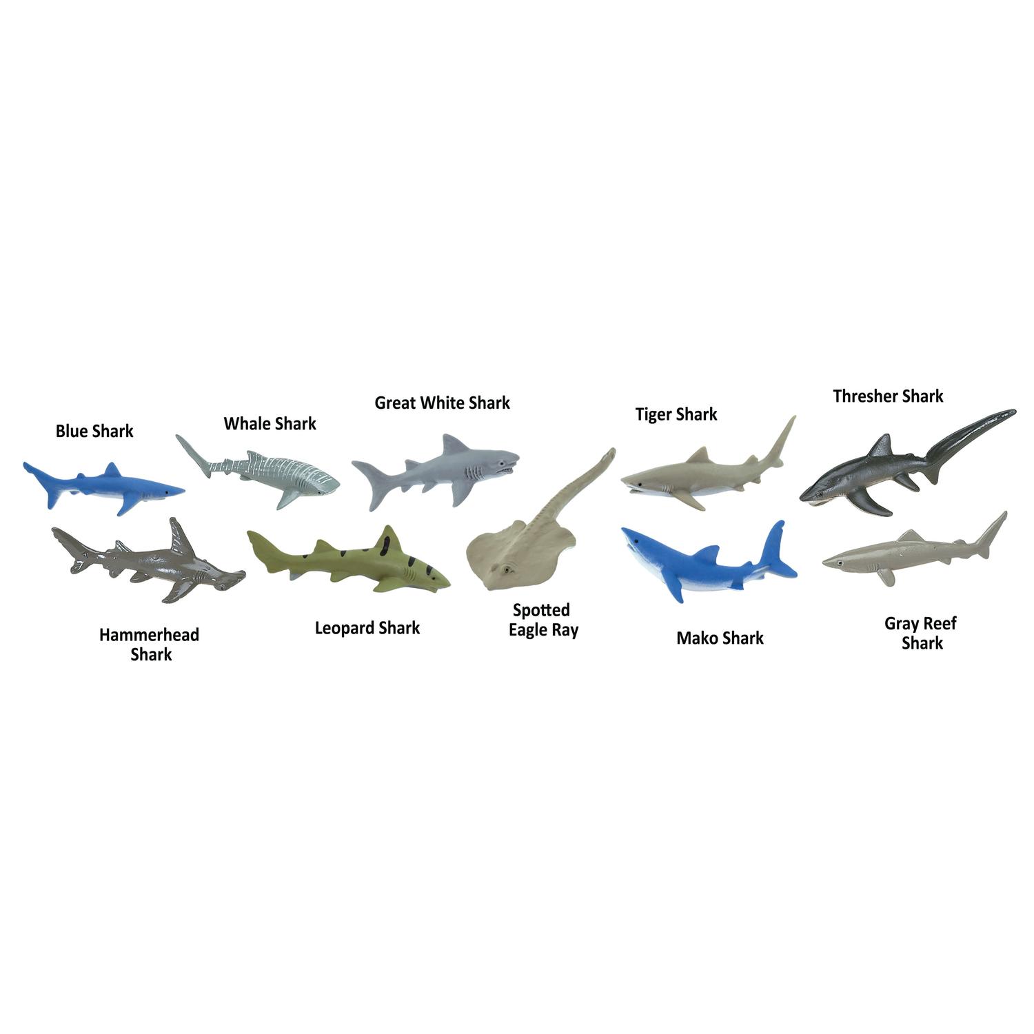 Safari Ltd. Toobs Sharks Toob Toy 10 pc