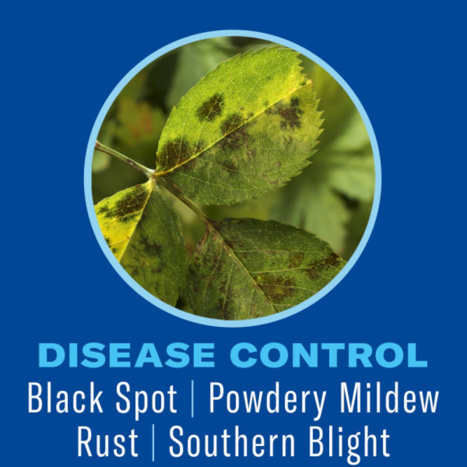 BioAdvanced Shrub Care Granules Protect & Feed 4 lb