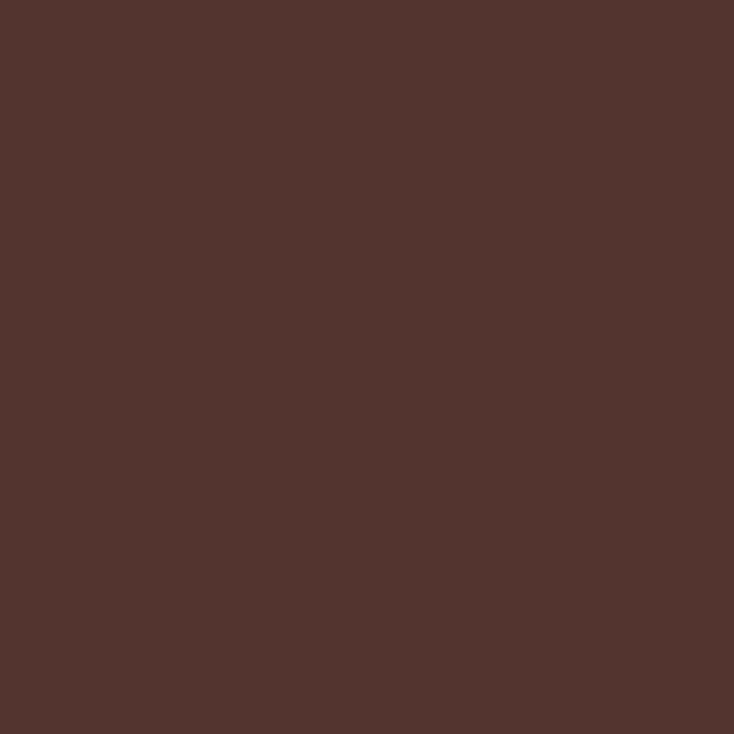 Ace Rust Stop Satin Leather Brown Protective Enamel Spray Paint 15 oz