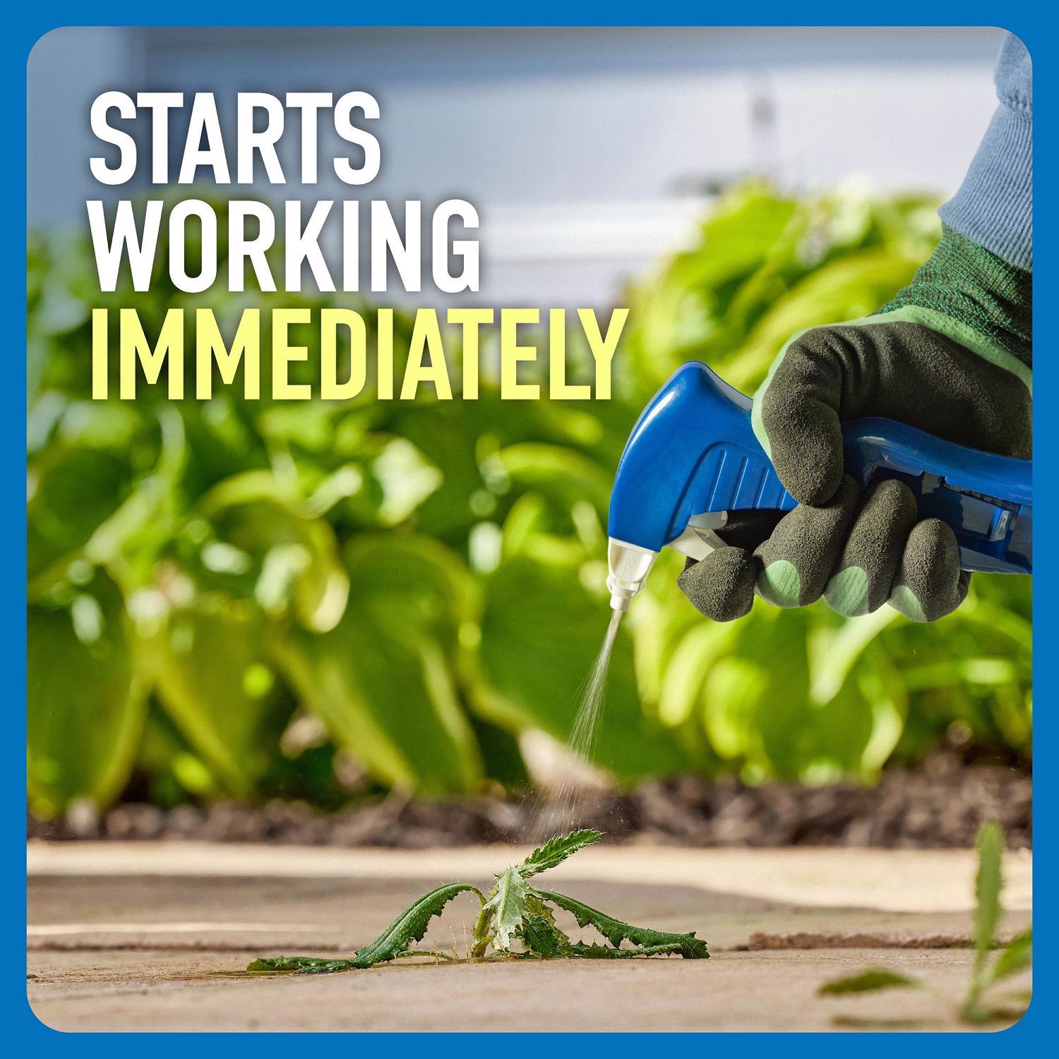Roundup Weed and Grass Killer RTU Liquid 1 gal